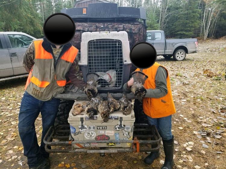 Grouse and woodcock hunting in Michigan’s eastern upper peninsula. Was