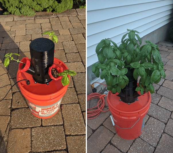 1 Month of growing Basil in my 3D printed hydroponic tower r/Hydroponics