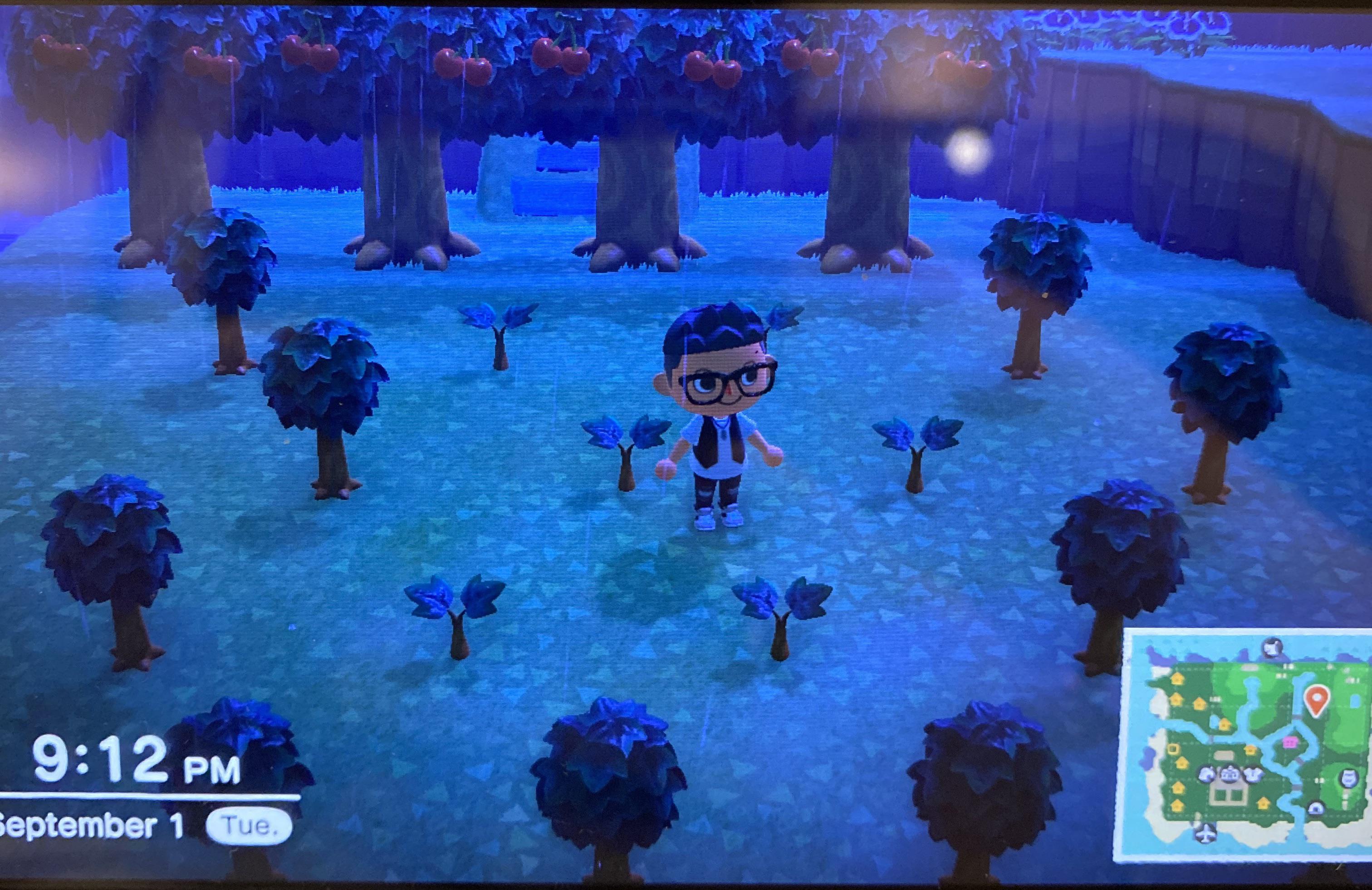 Not sure why my fruit trees aren’t growing... help? r/AnimalCrossingNewHor
