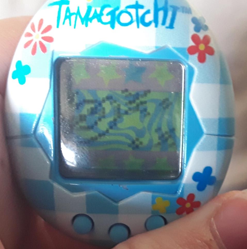what does this mean? r/tamagotchi
