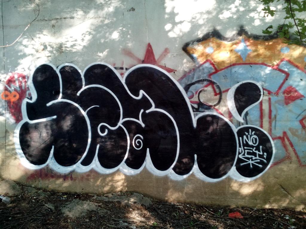 RIP SEAL NO LEY // GRAND RAPIDS GRAFFITI r/Bombing