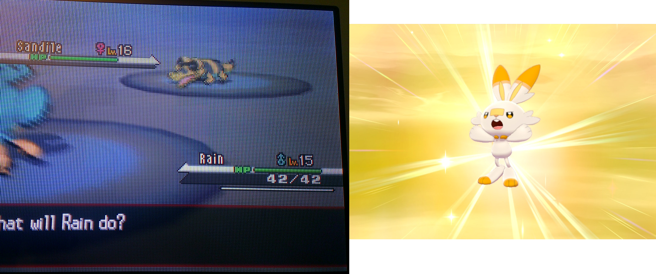 [gen 8] My first and last shinies of the 2010s. Shiny Scorbunny hatched