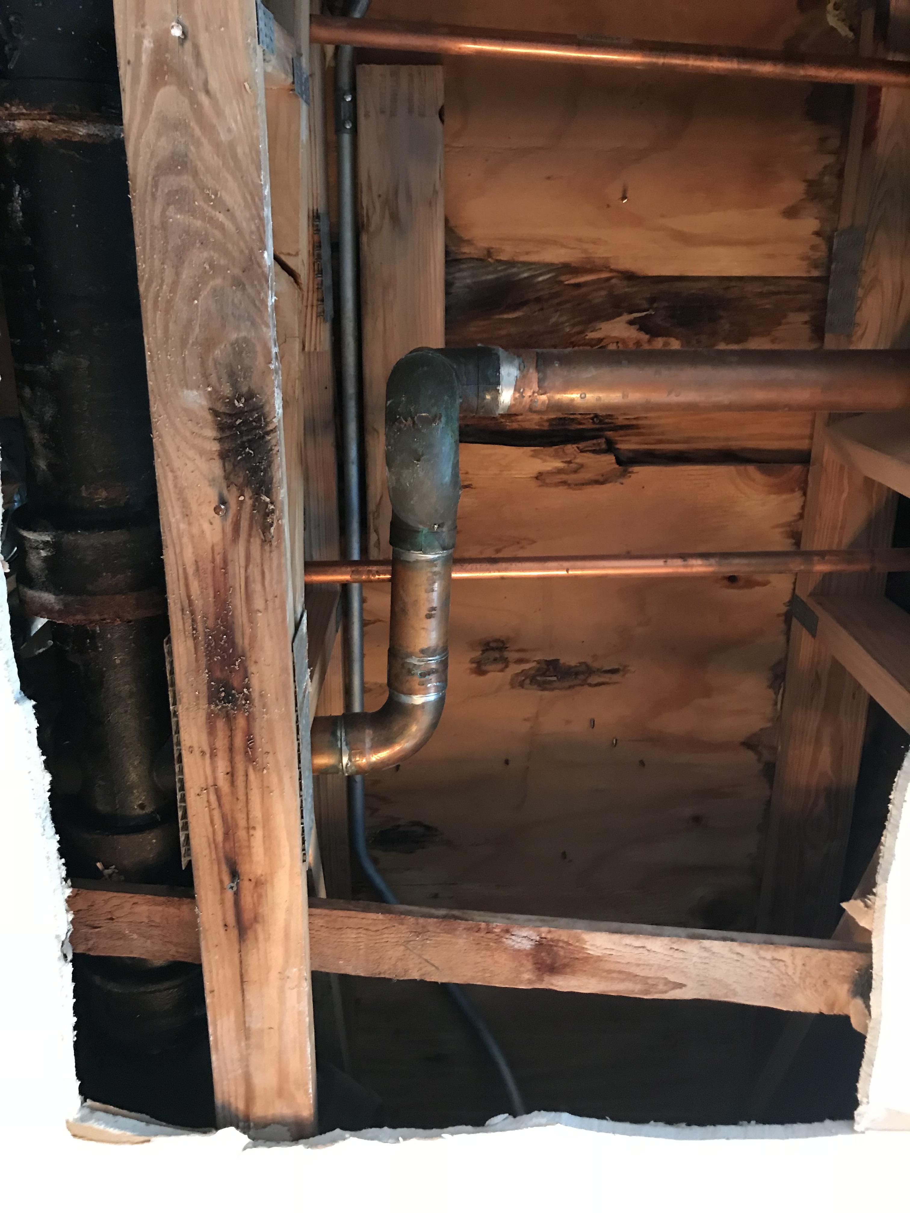 Shower leaking through grouting and caulking down to living room