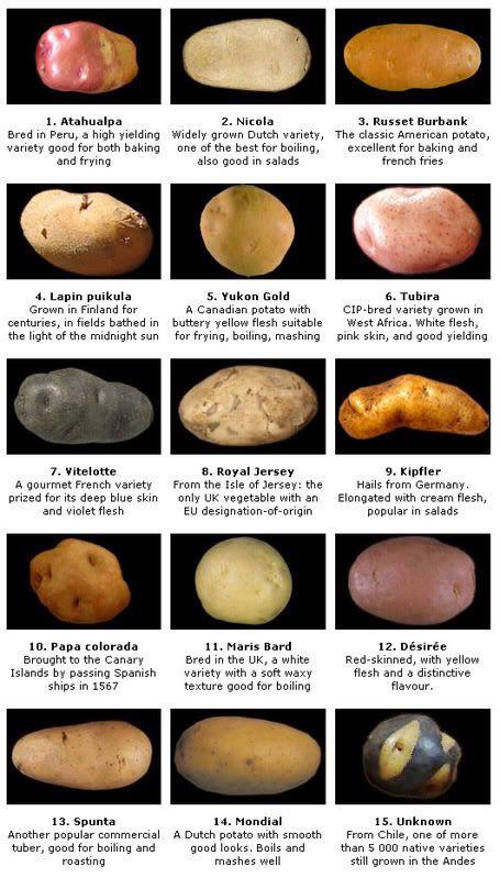 Potato varieties and ways to use them : u/TadTepid