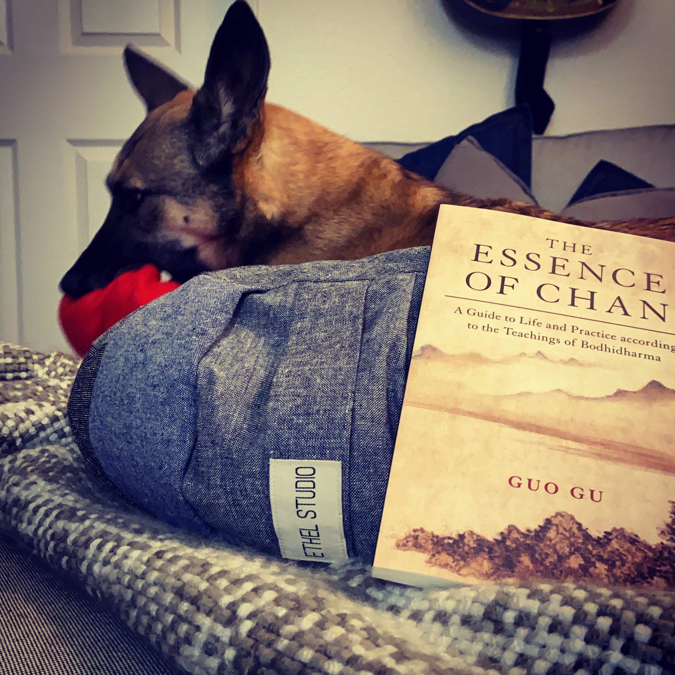 Family got me a new cushion from Ethel Studios and a new book! r/Buddhism