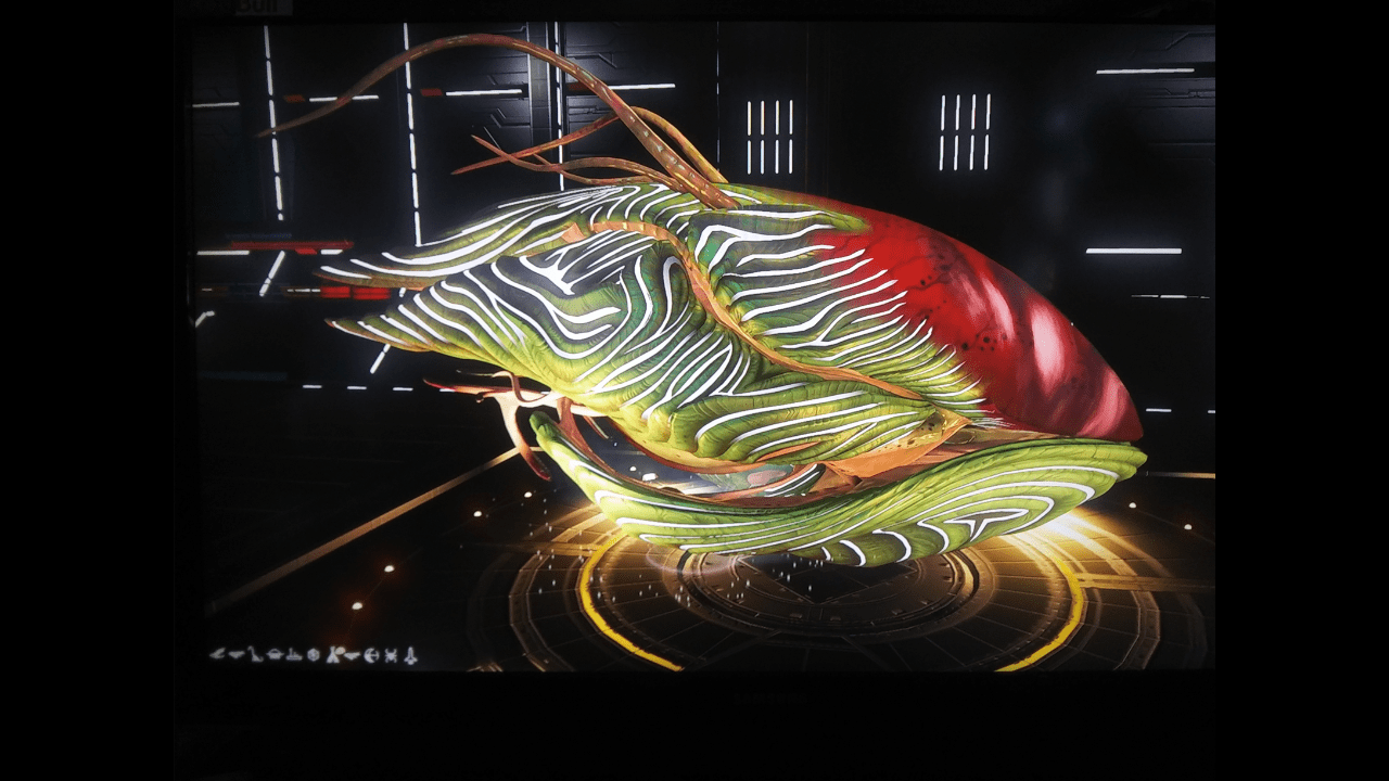 My first living ship, already fully upgraded except inventory space of