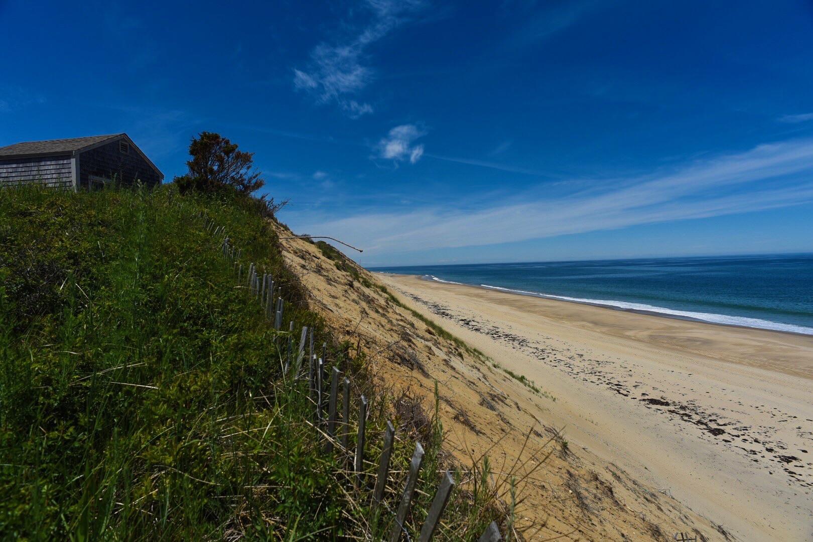The grassy sand dunes of Truro, Massachusetts (6000x4000) r