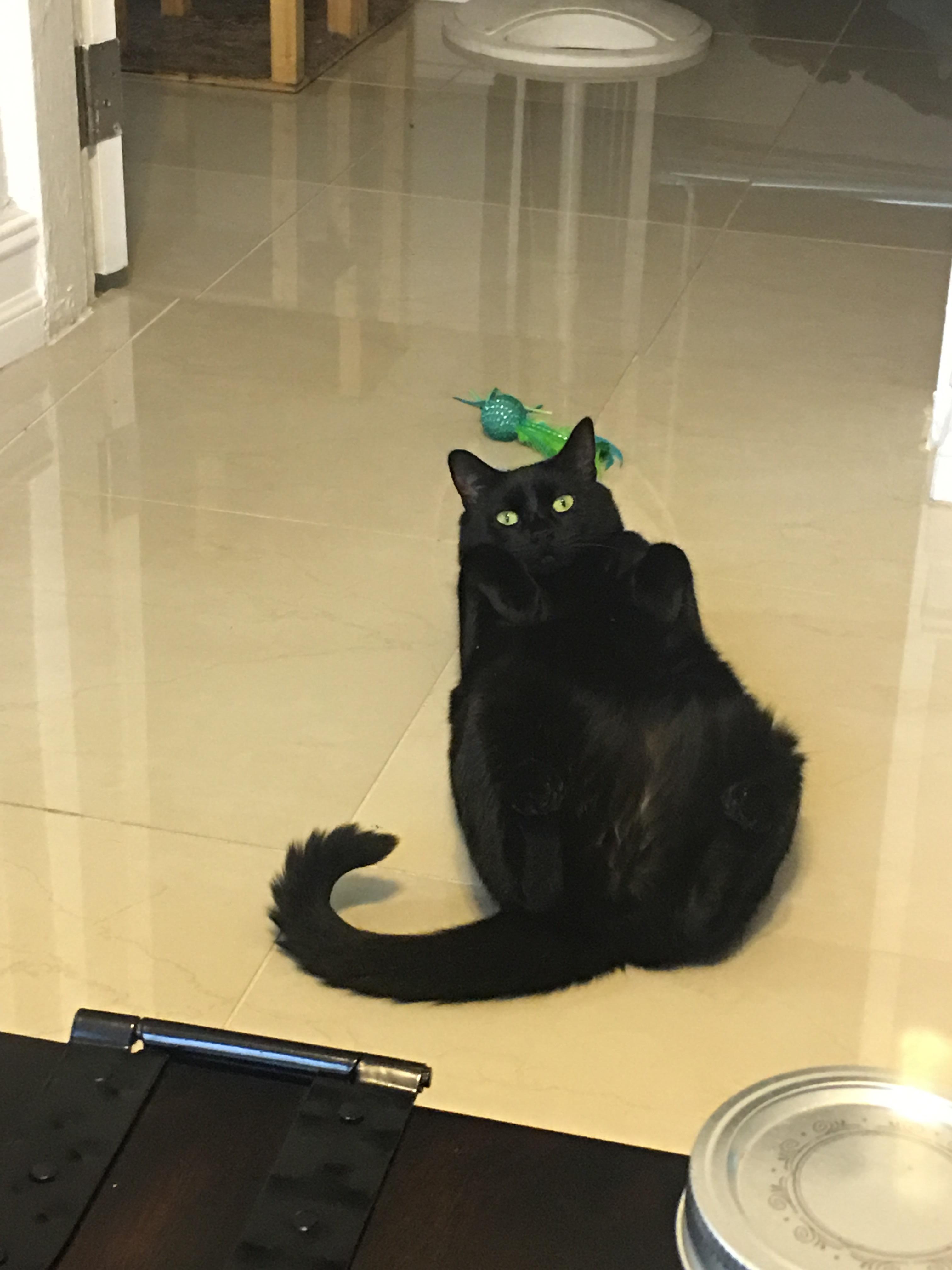 She does this every day. And just stares at me. It's so creepy and I