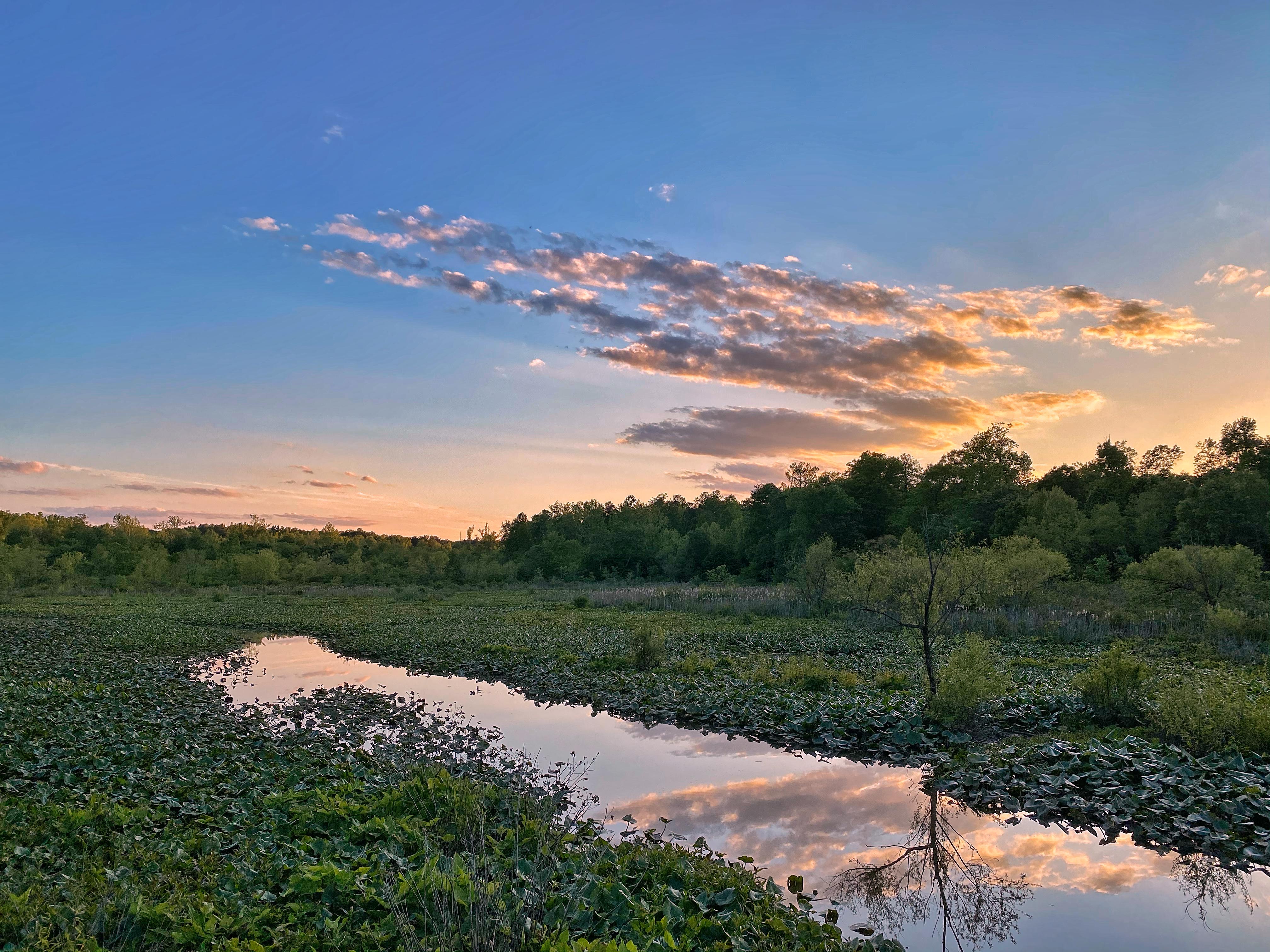 ShoPu Sunset Tuckahoe Creek Park r/rva
