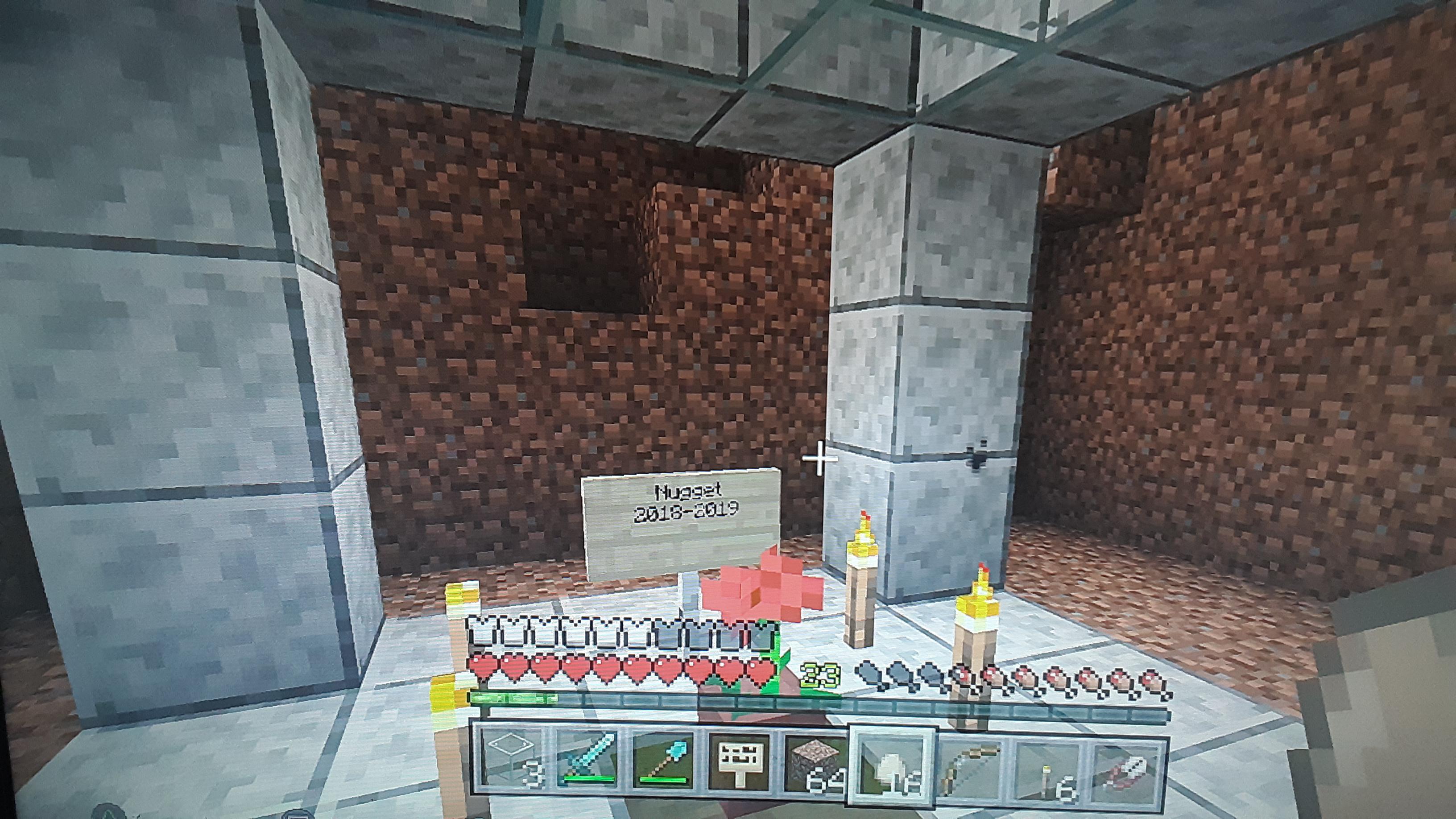 My dog died in minecraft, was clearing space off the side of a hill