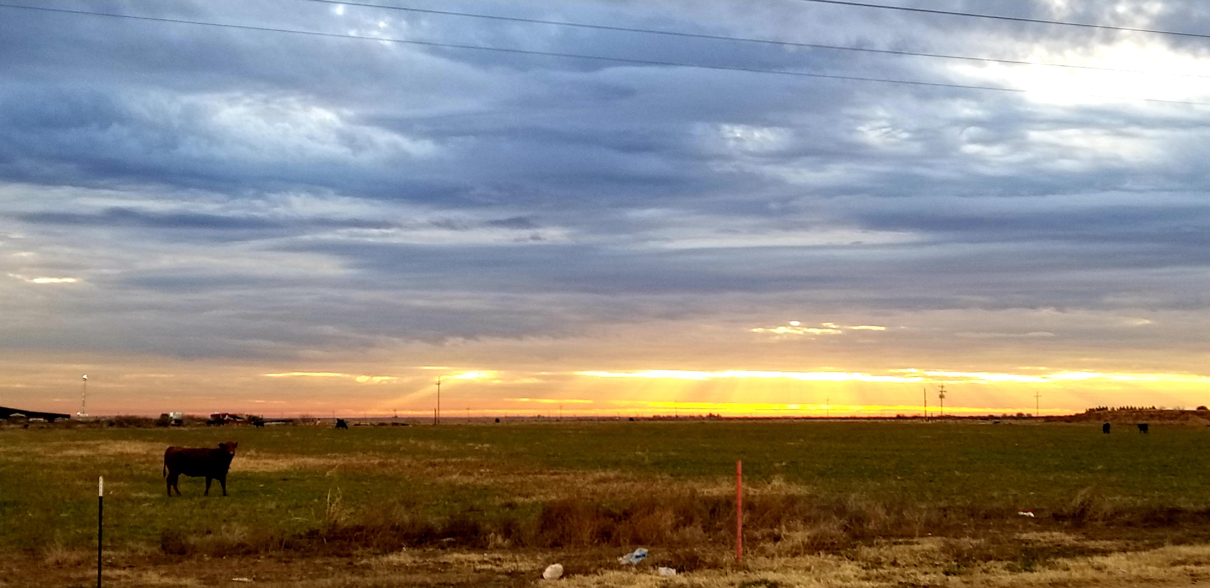 A picturesque view in Coyanosa r/texas