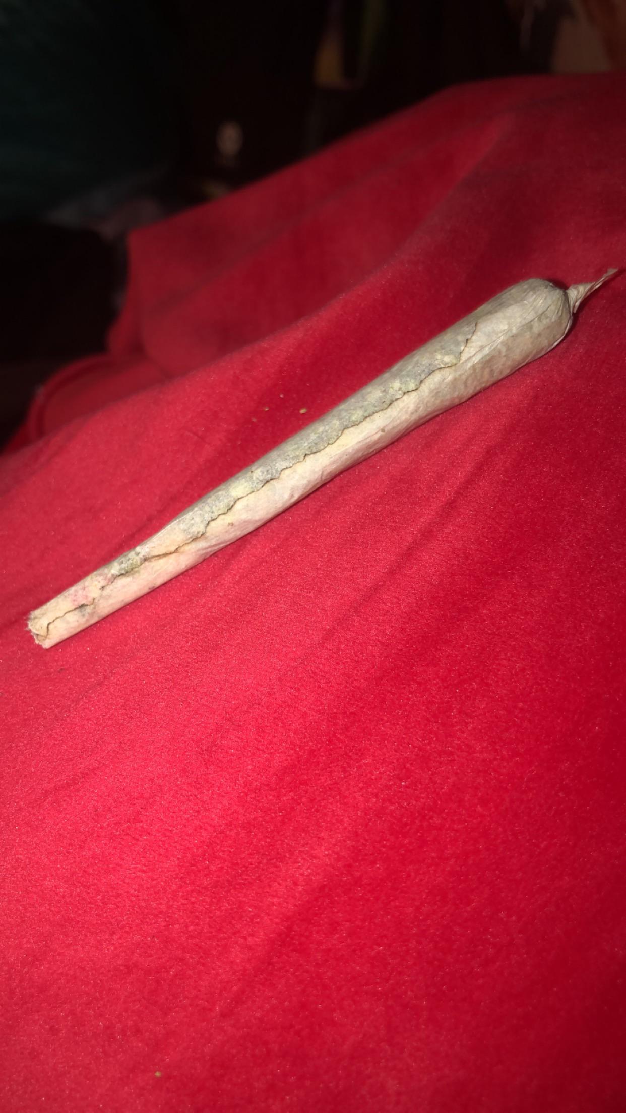 First attempt at a back roll 💨💨 r/ArtOfRolling