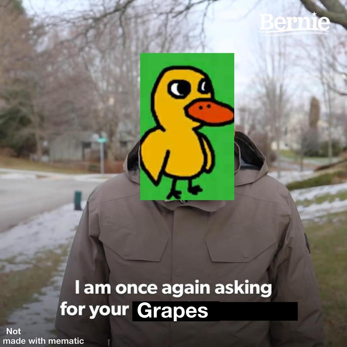 Got any grapes? r/memes