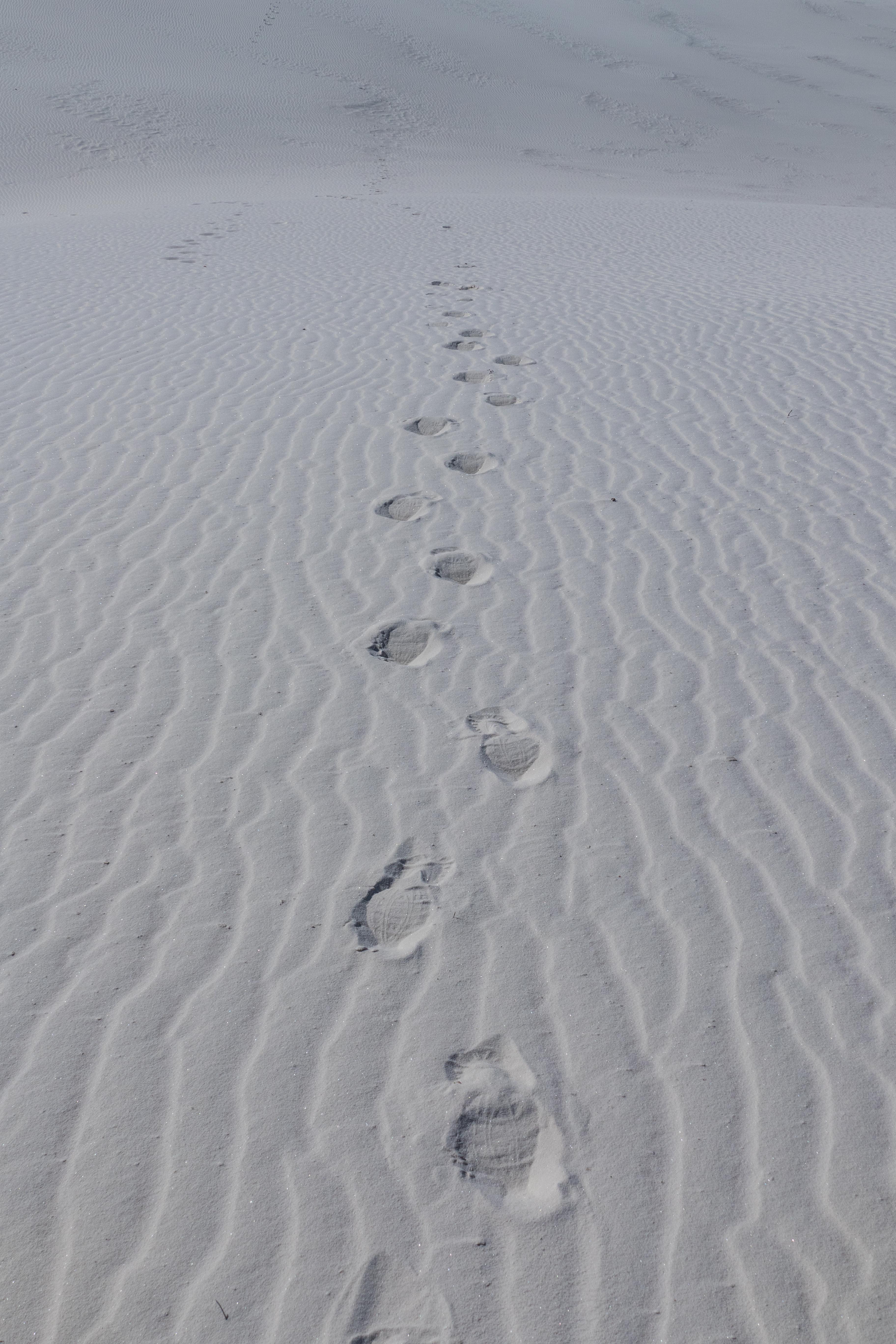 Leaving nothing but footprints at White Sands National Monument Alkali Flats Trail, New Mexico