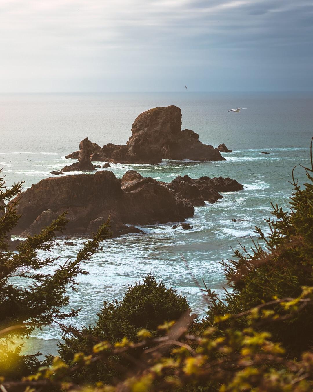 Oregon Coast A7iii 55mm Zeiss [OC] r/SonyAlpha