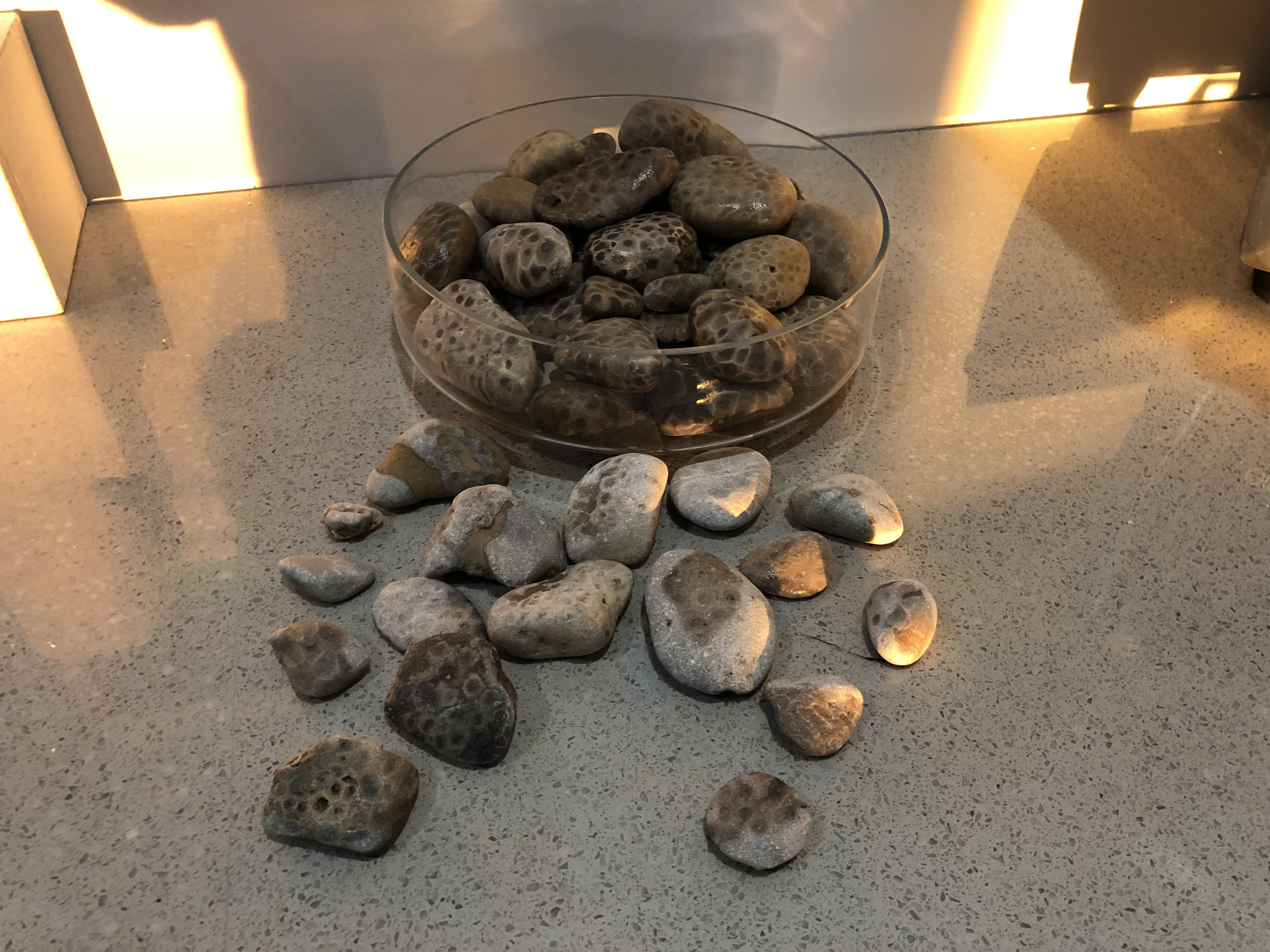 These Petosky Stones Have Been Washing Up Everywhere On Our Beach in