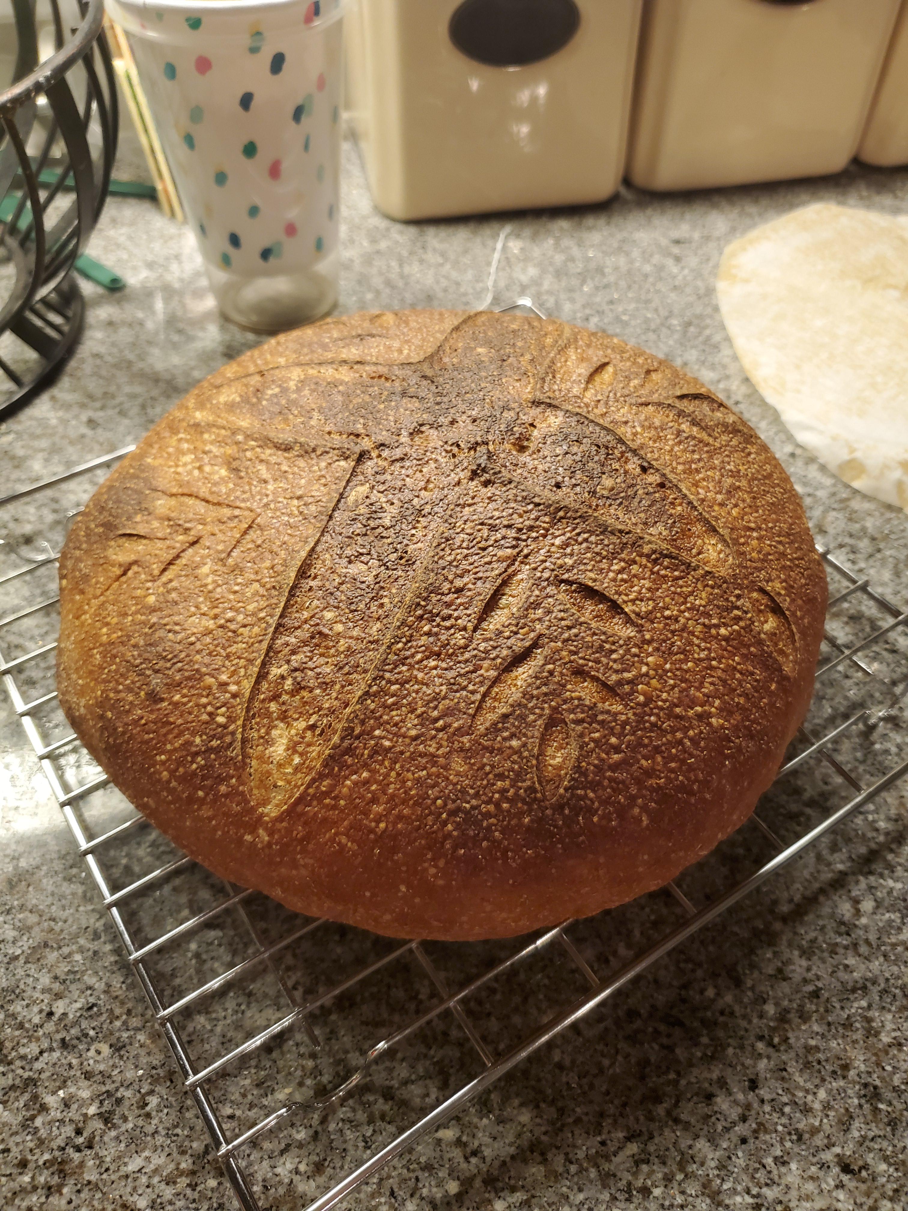 I finally found some spelt. Go WinCo! r/Sourdough