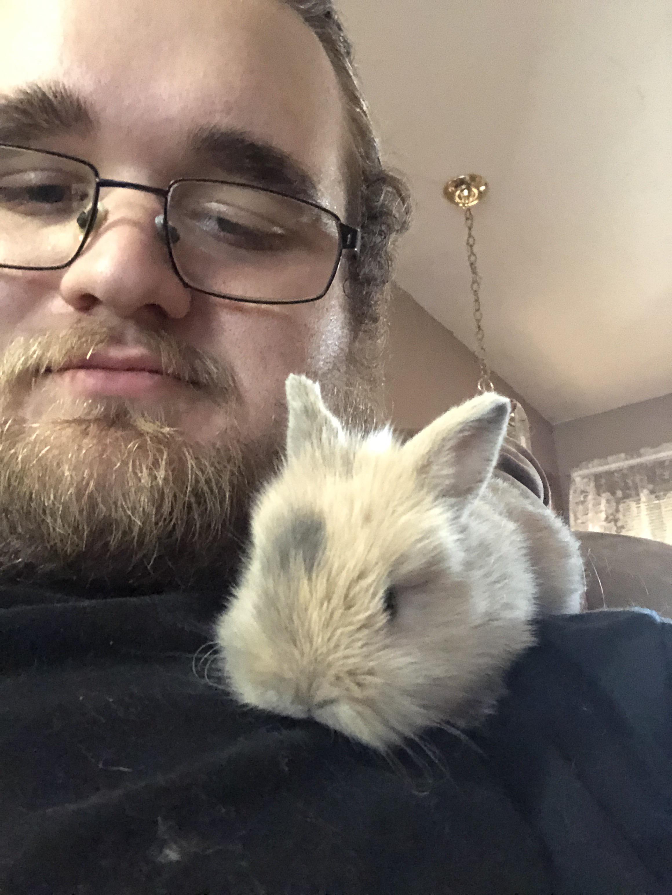 20 day old baby Rabbits