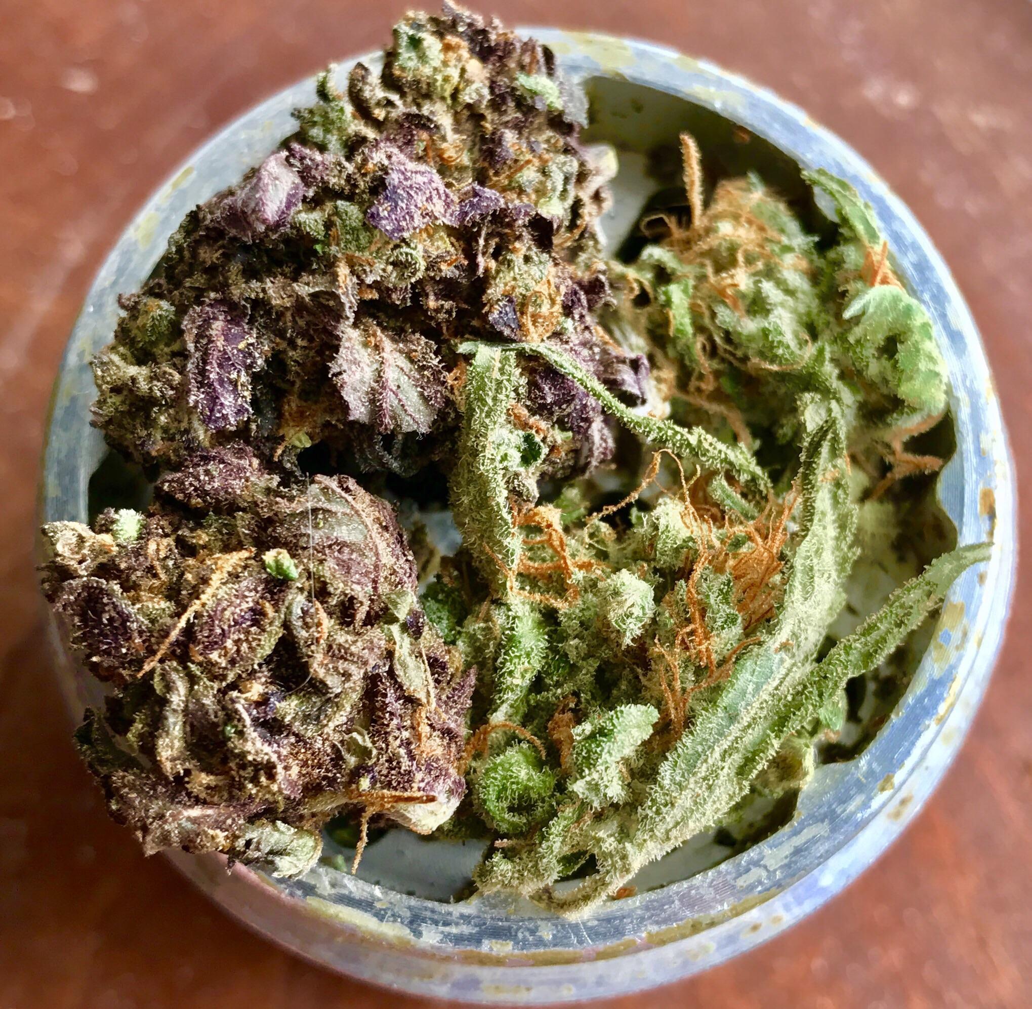 Mixed Greens r/trees