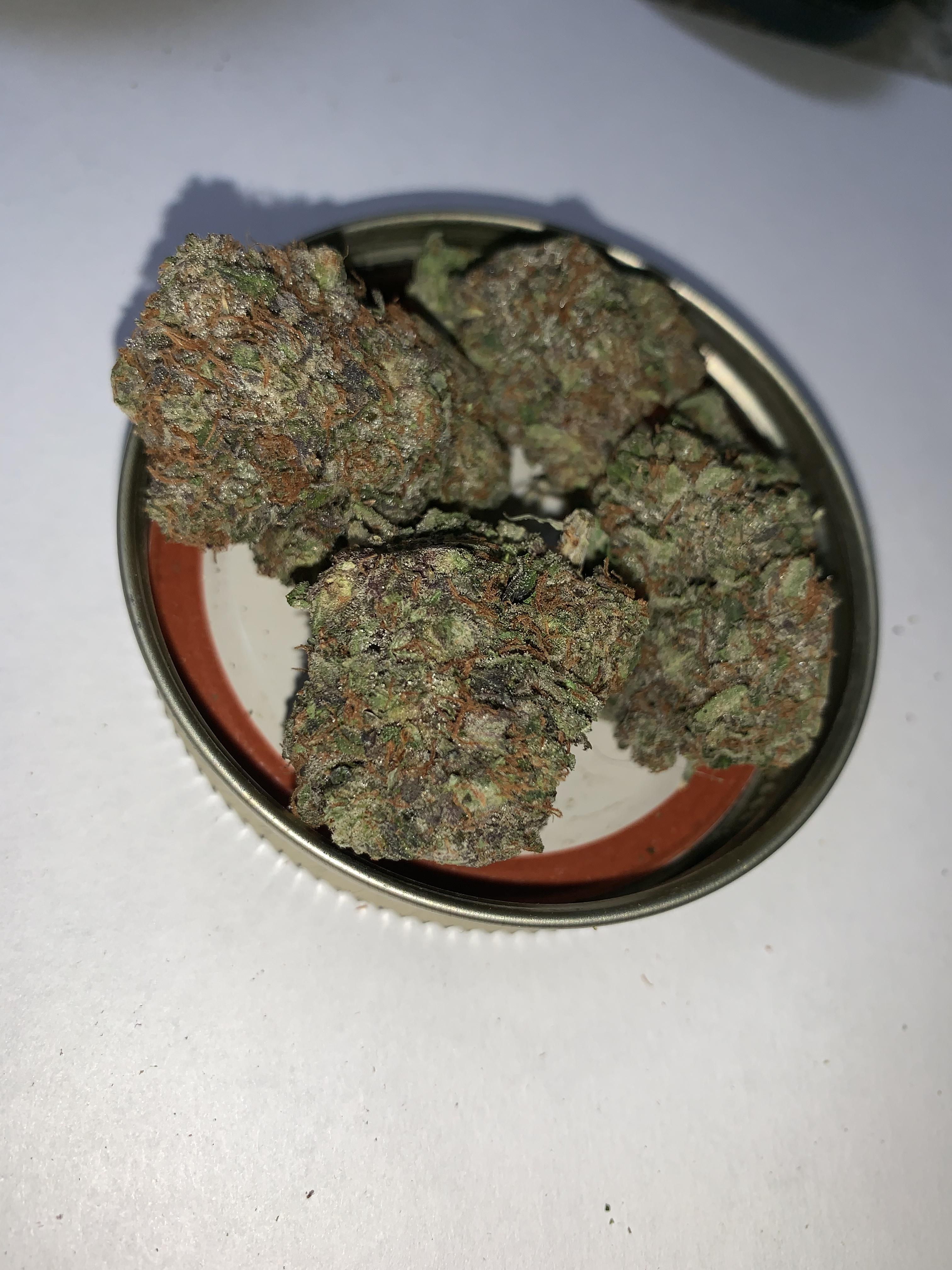 Astro Pink Lot 6521 Flashbuds 10/10 r/MOMpics