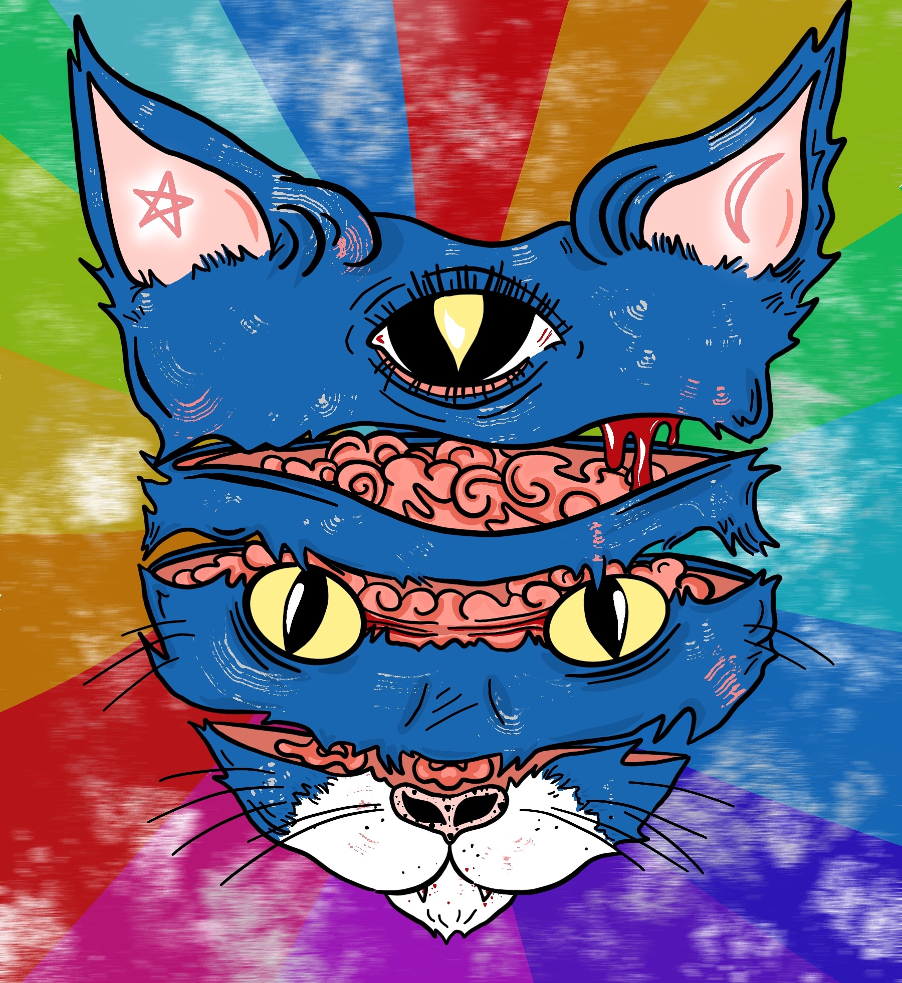 a rainbow kitten. surprise!! r/RainbowKittenSurprise