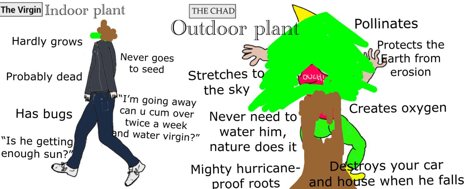 The Virgin house plant vs the Chad outdoor plant r/virginvschad