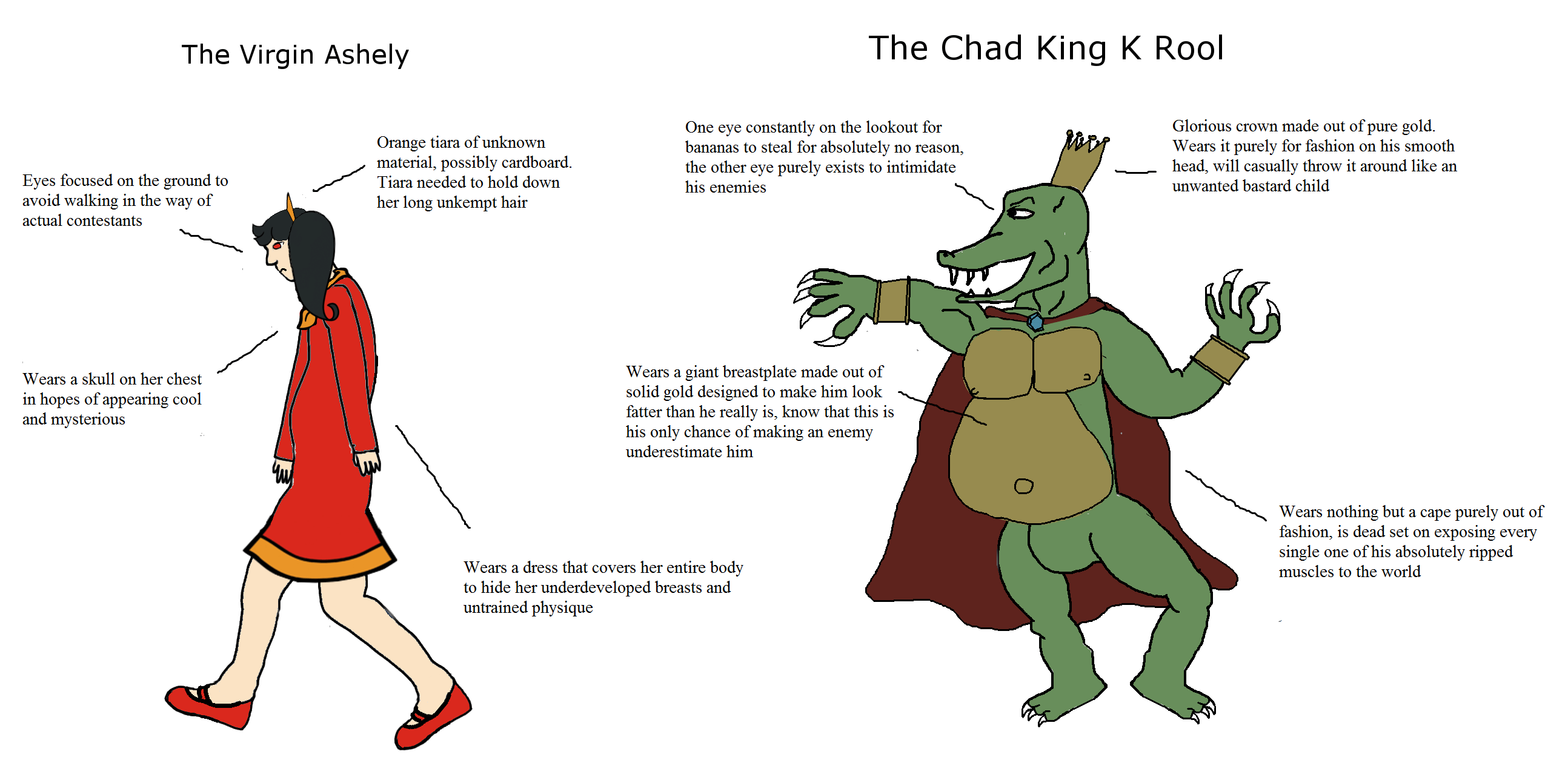 The Virgin Ashley vs The Chad King K Rool r/virginvschad