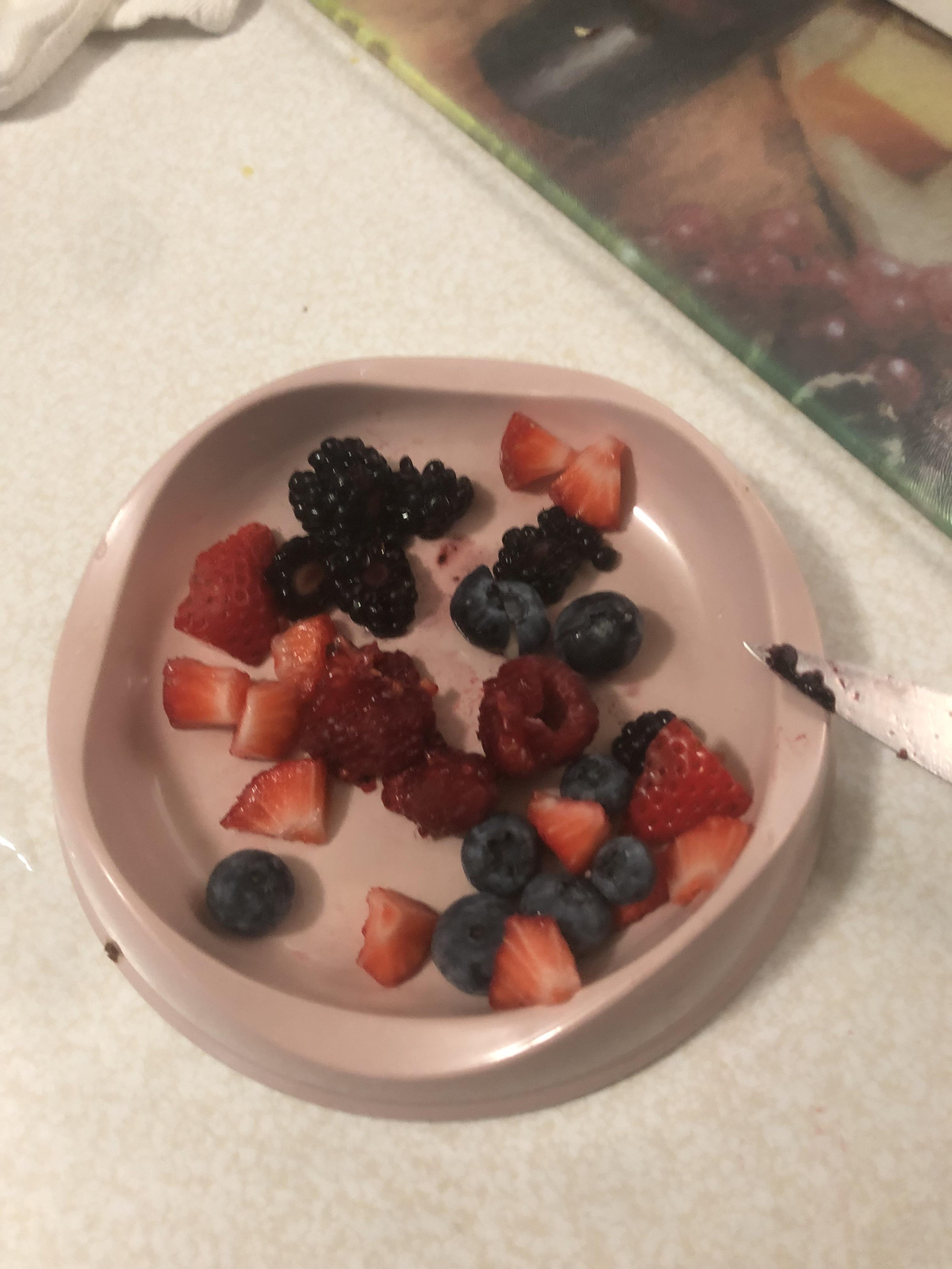 Food for gliders. r/sugargliders