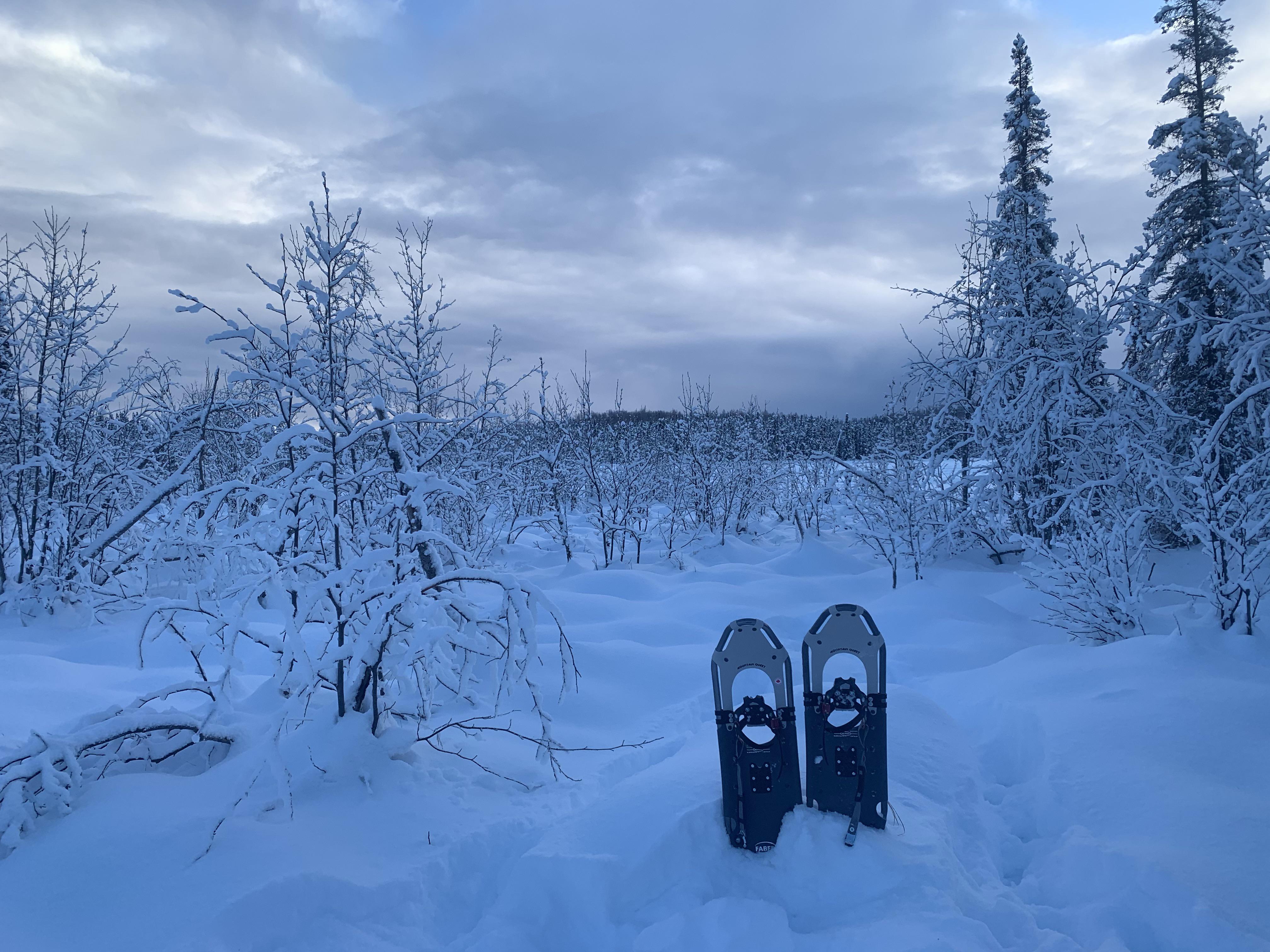 Beautiful day in Nancy Lake, Alaska trying out the new Faber snowshoes. r/snowshoeing