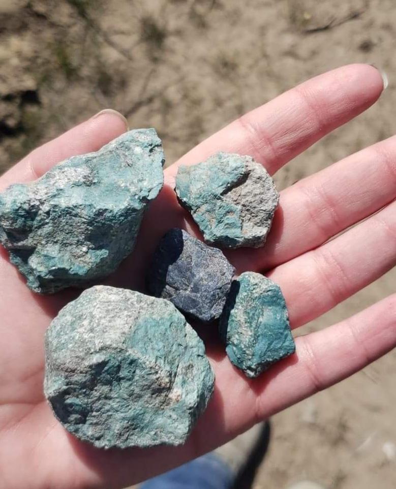 Found hiking my backyard in Washington State. I've never seen this