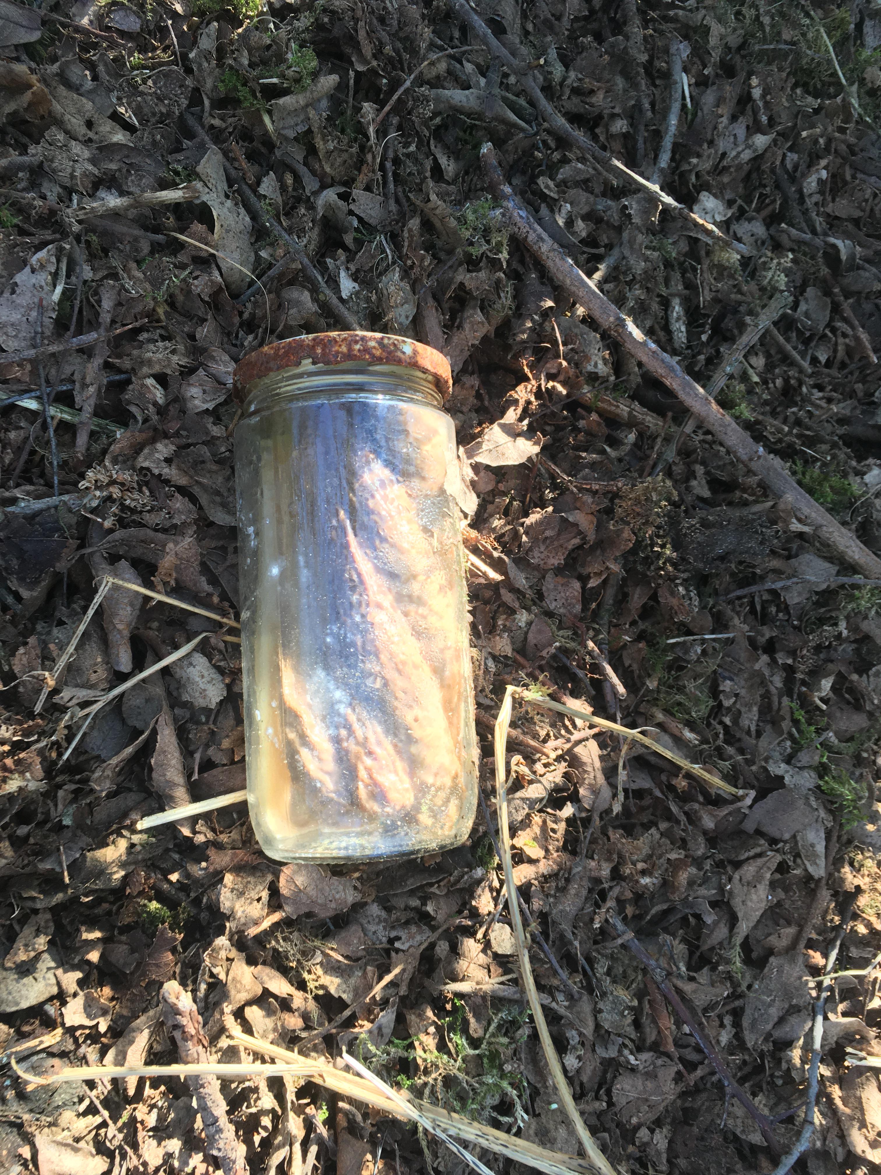 You Won't Believe What We Found In This Peach Jar Truth or Fiction