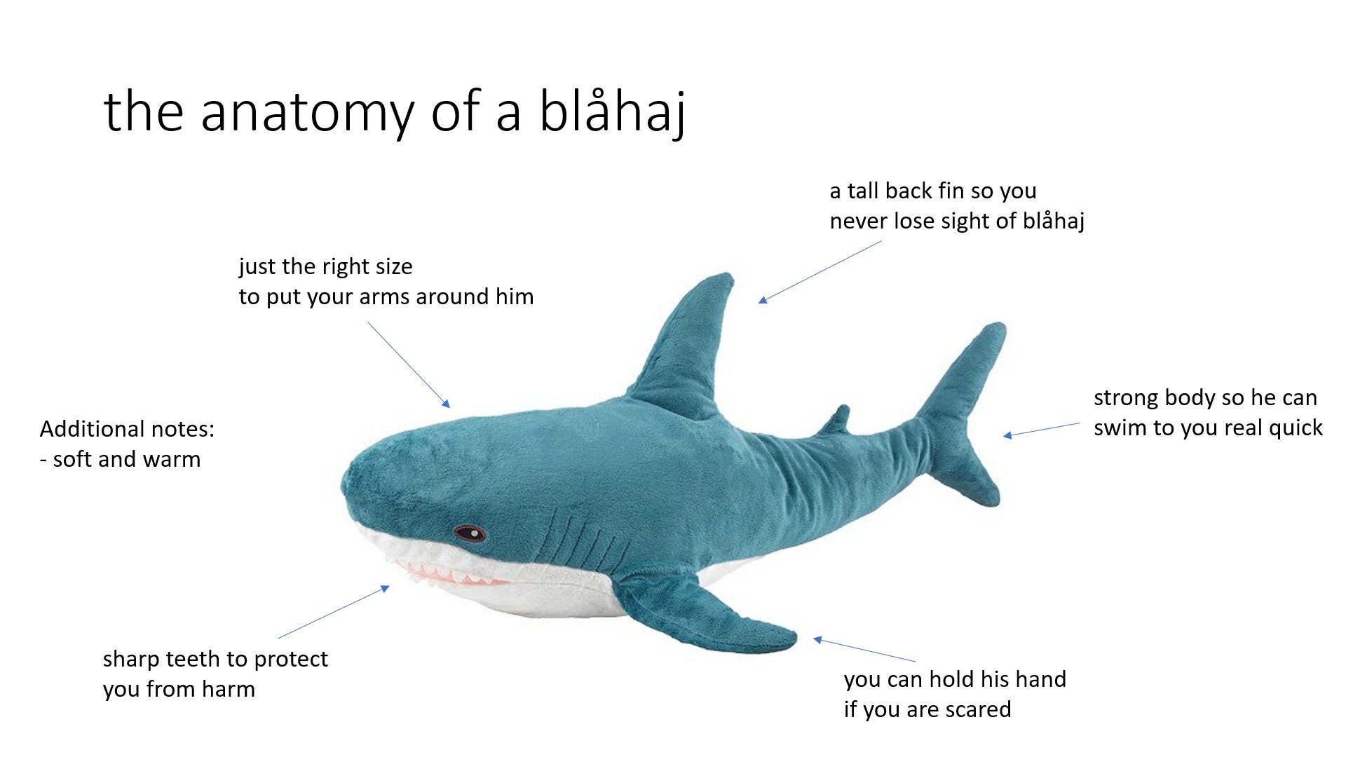The Anatomy of a Blåhaj r/BLAHAJ