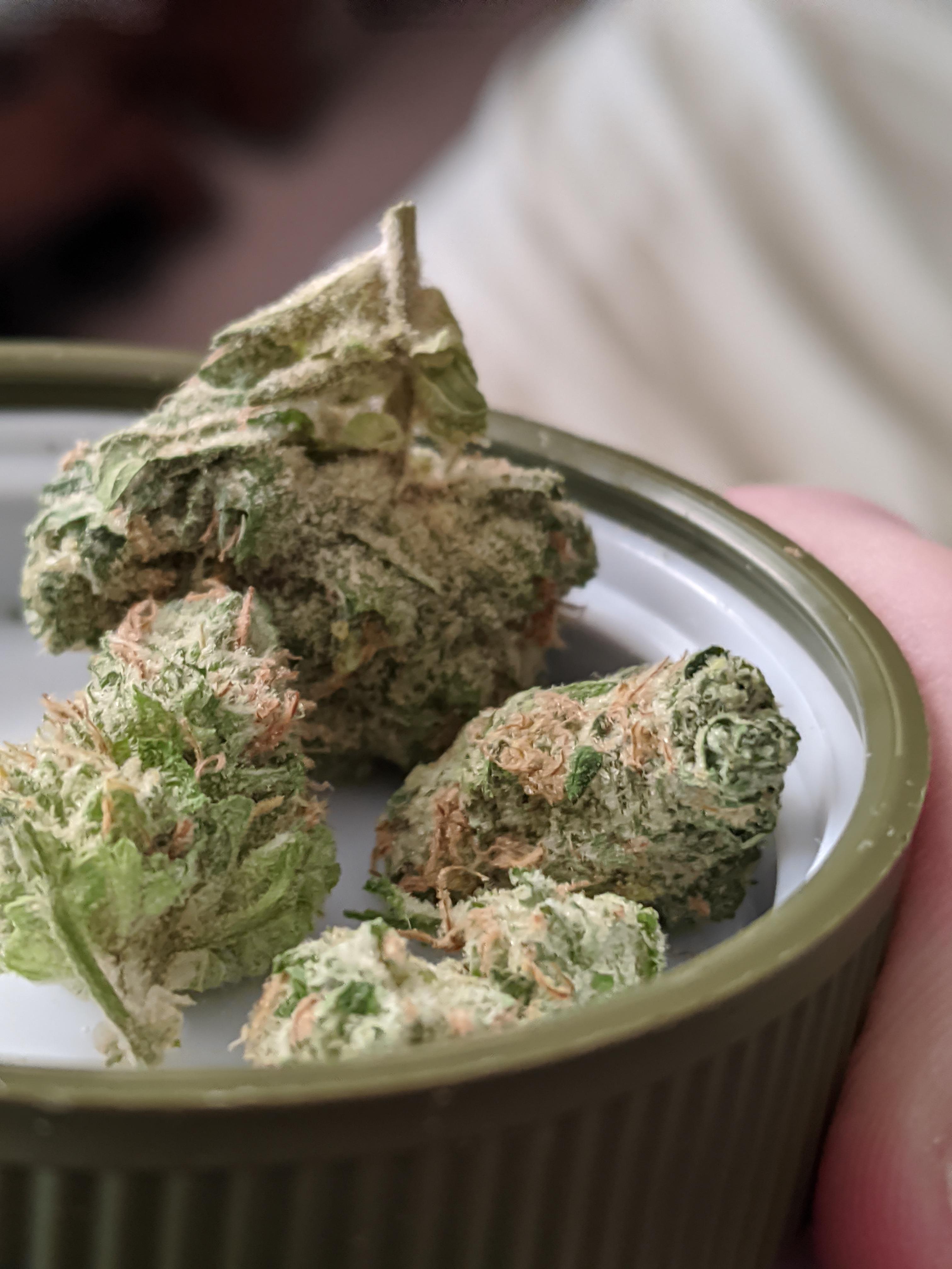 Grapefruit Durban Terrapin. Got lucky and snagged it through my online