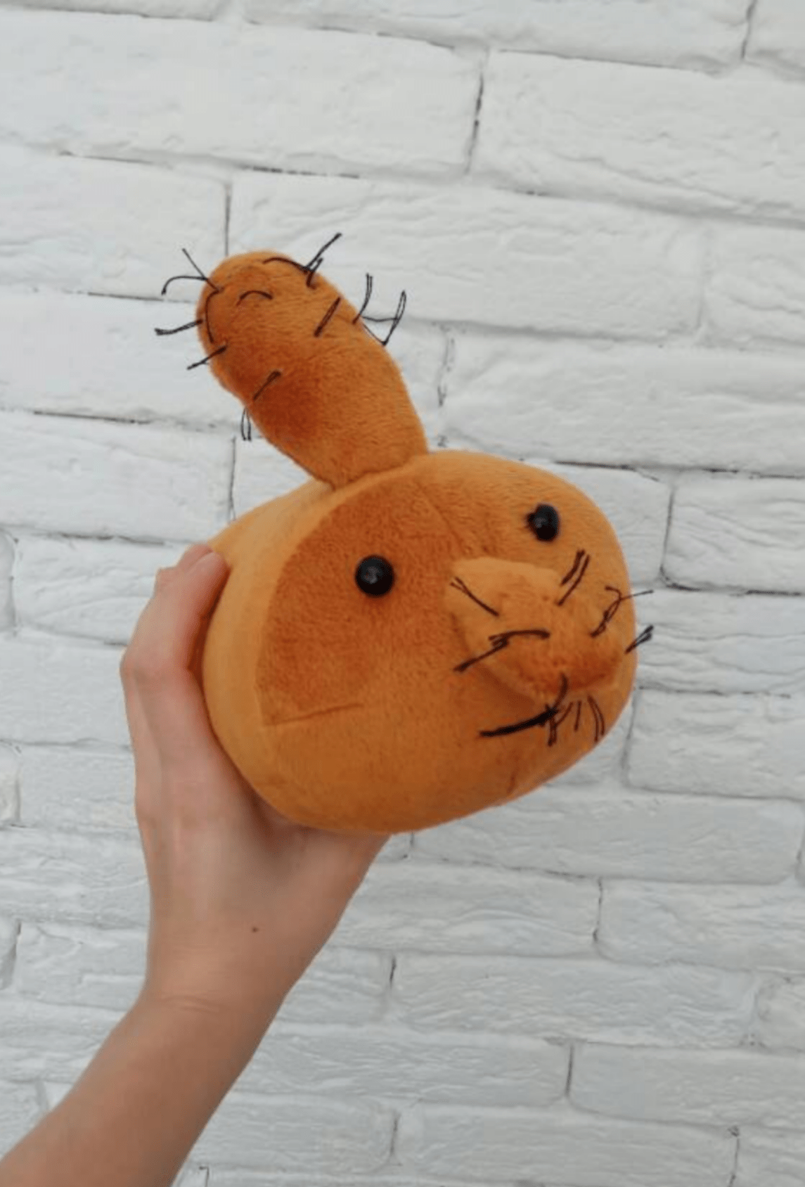 After pulling some strings and waiting for what seemed like eons, I've