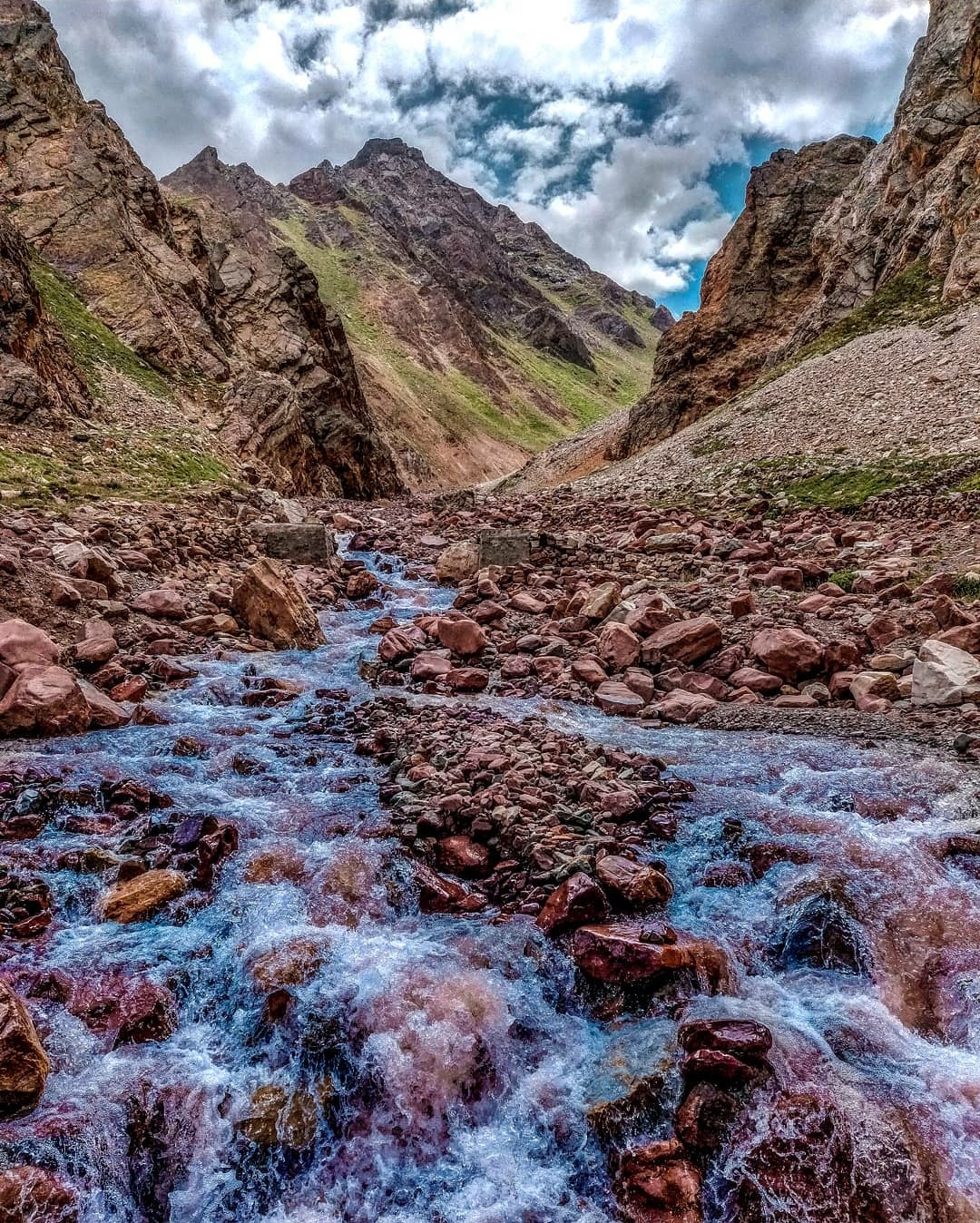 Pin Valley National Park is located in the Spiti Valley of Himachal