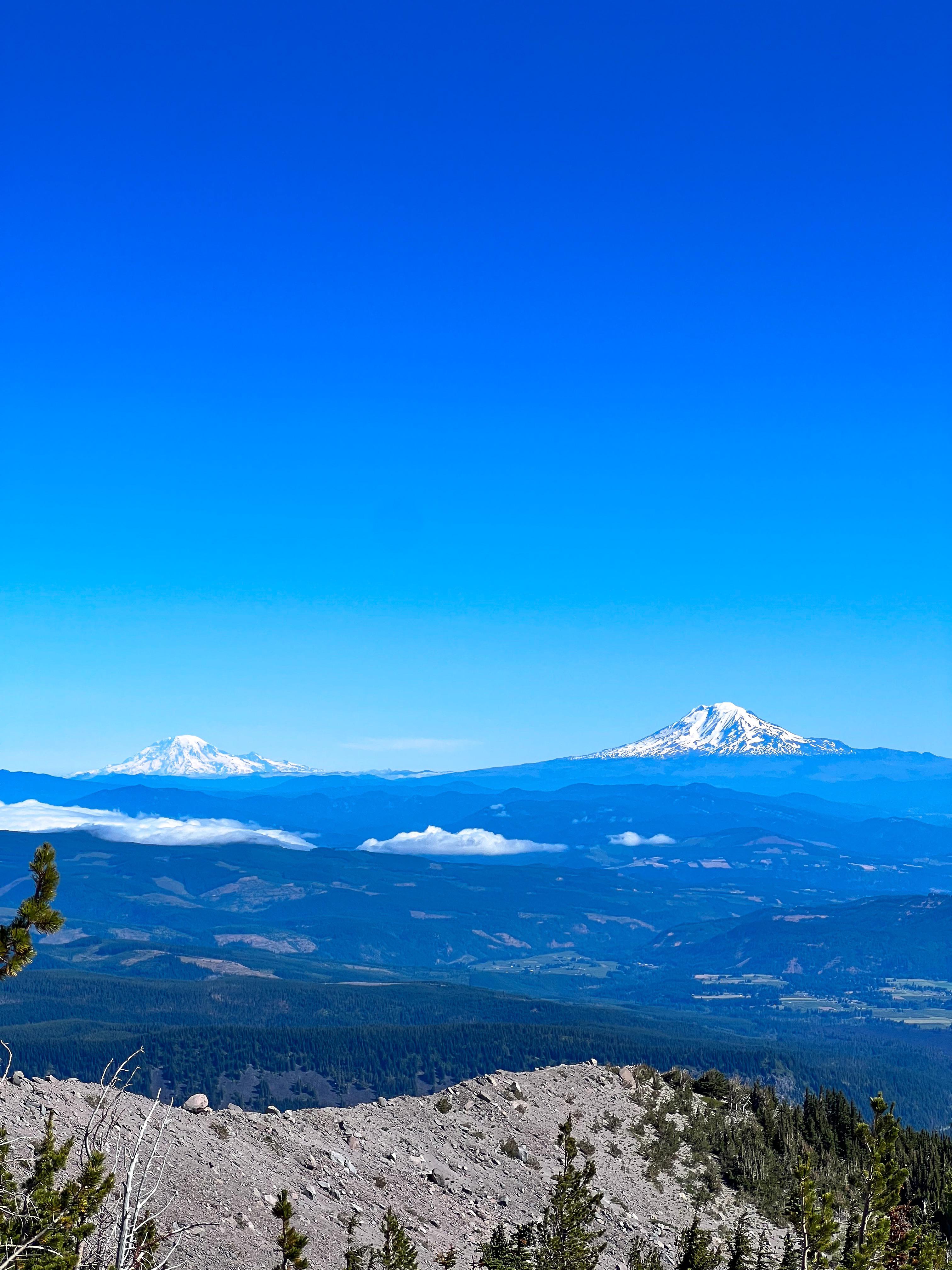 Mt. Adams and Mt. Rainier while I was hiking up Mt. Hood. One of the