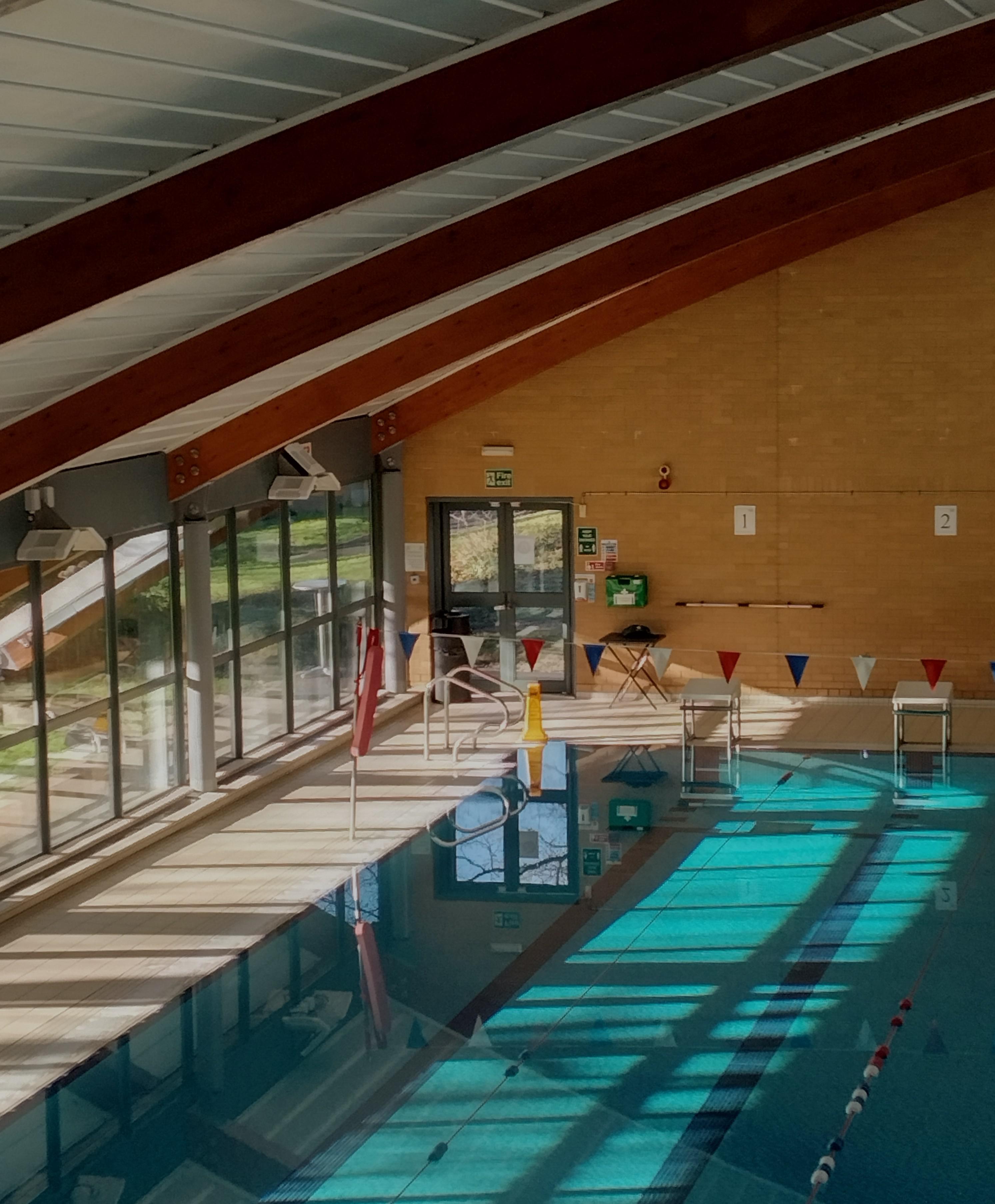 swimming pool near me ) AccidentalWesAnderson