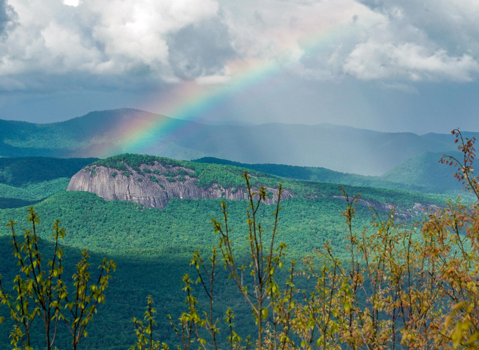 Looking glass rock in Pisgah National Forest [OC] 2000x1461 r/EarthPorn