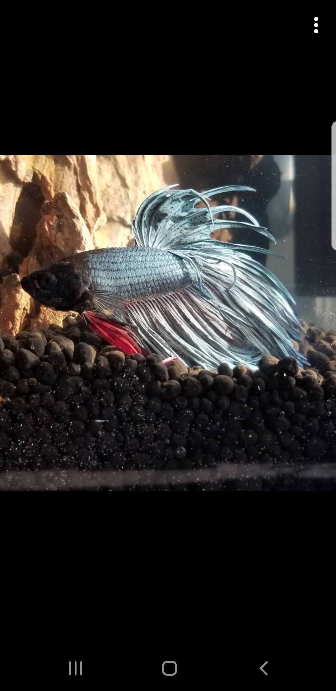 My boyfriend is visiting for the week so I wanted him to pick out a