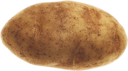 Actual Photo of what Malf uses to record his audio : r/NLSSCircleJerk