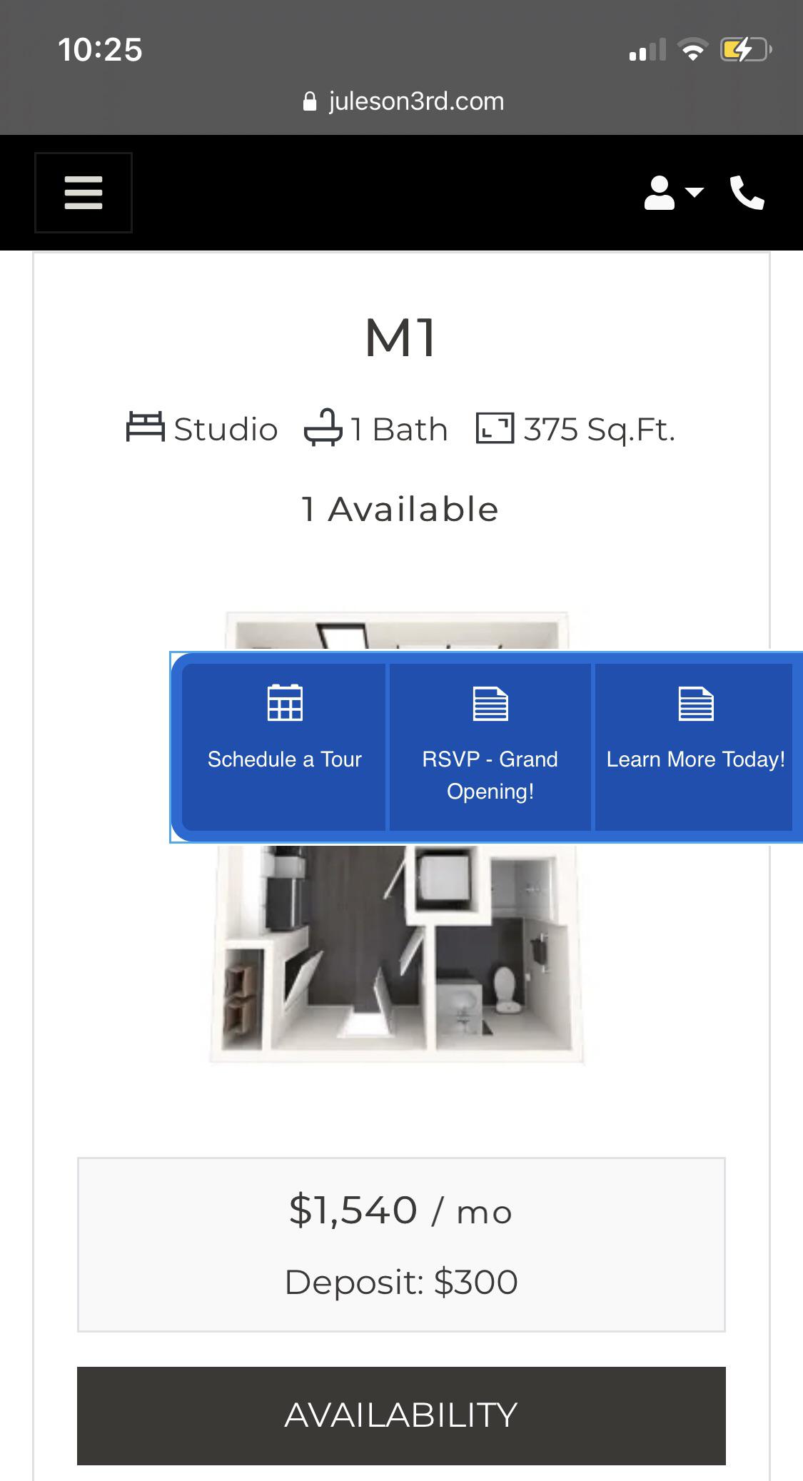 New apartment building wants nearly 1600 a month for a 375 sqft studio
