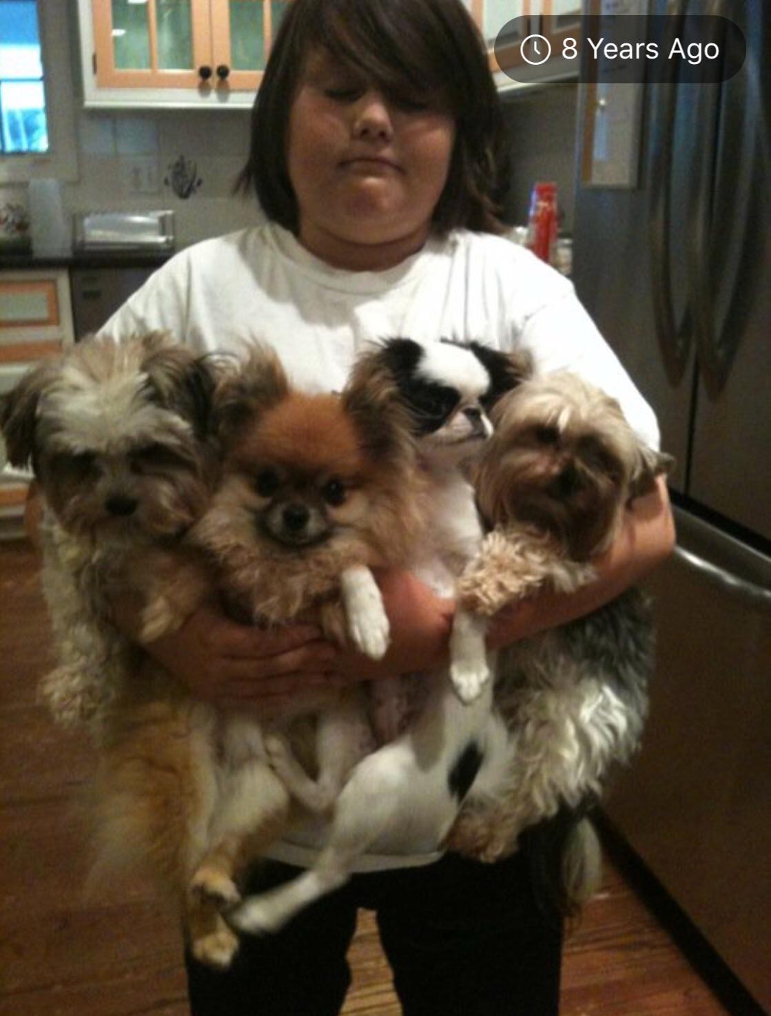 Please take the dogs out r/aww