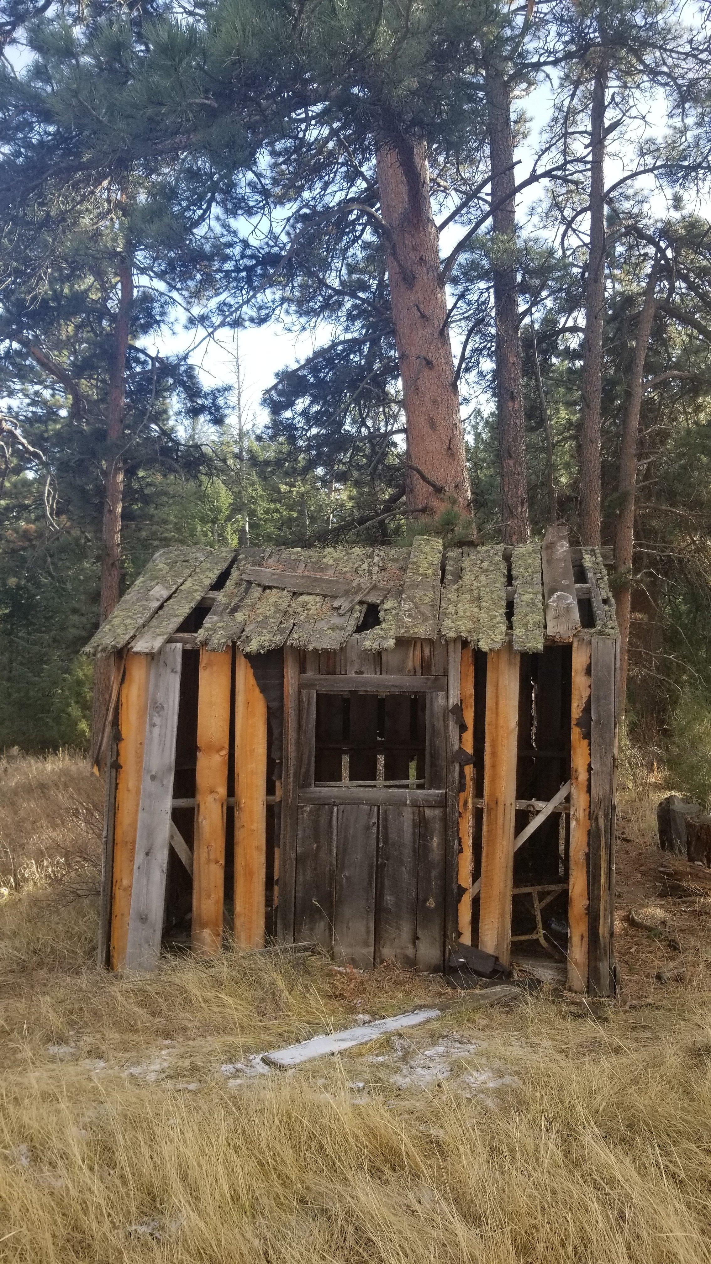 Colorado Mountain Cabin [2268 x 4032] [OC] AbandonedPorn