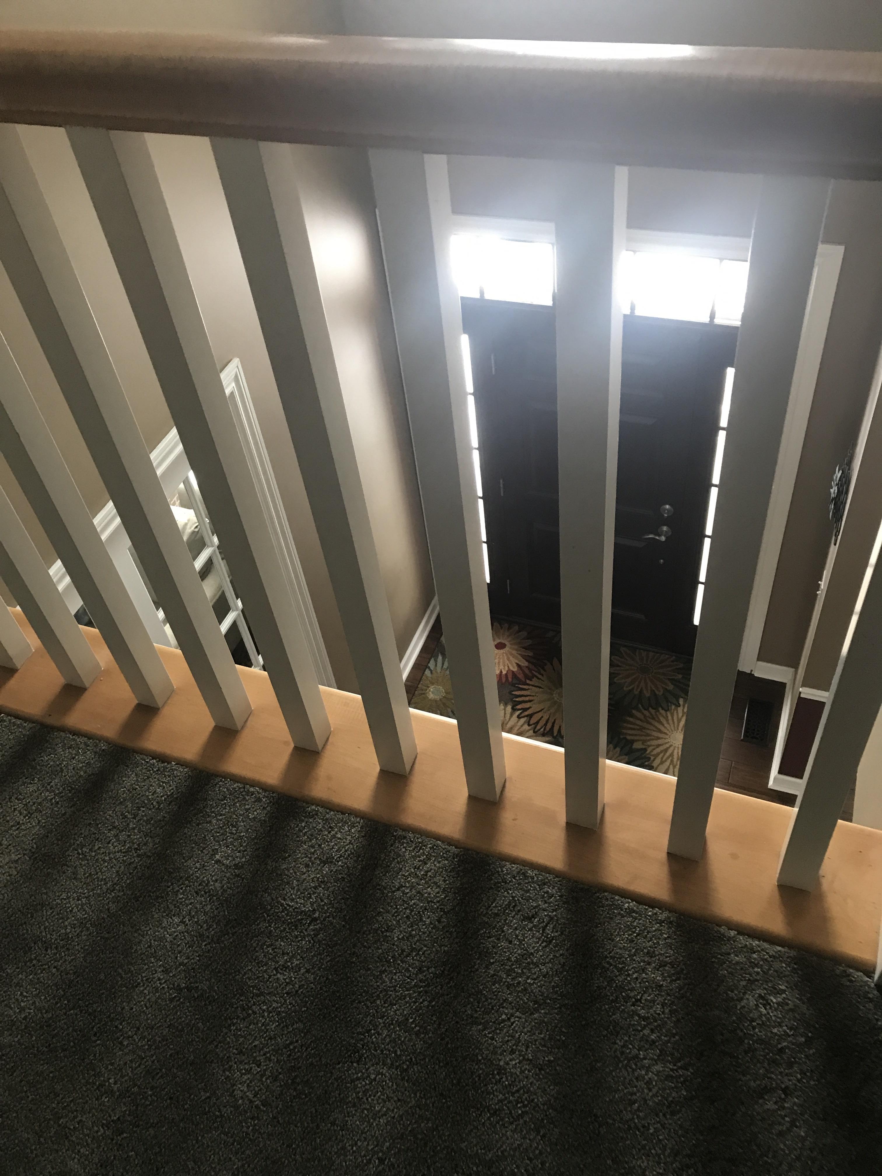 I have a balcony and my cat likes to poke his head through