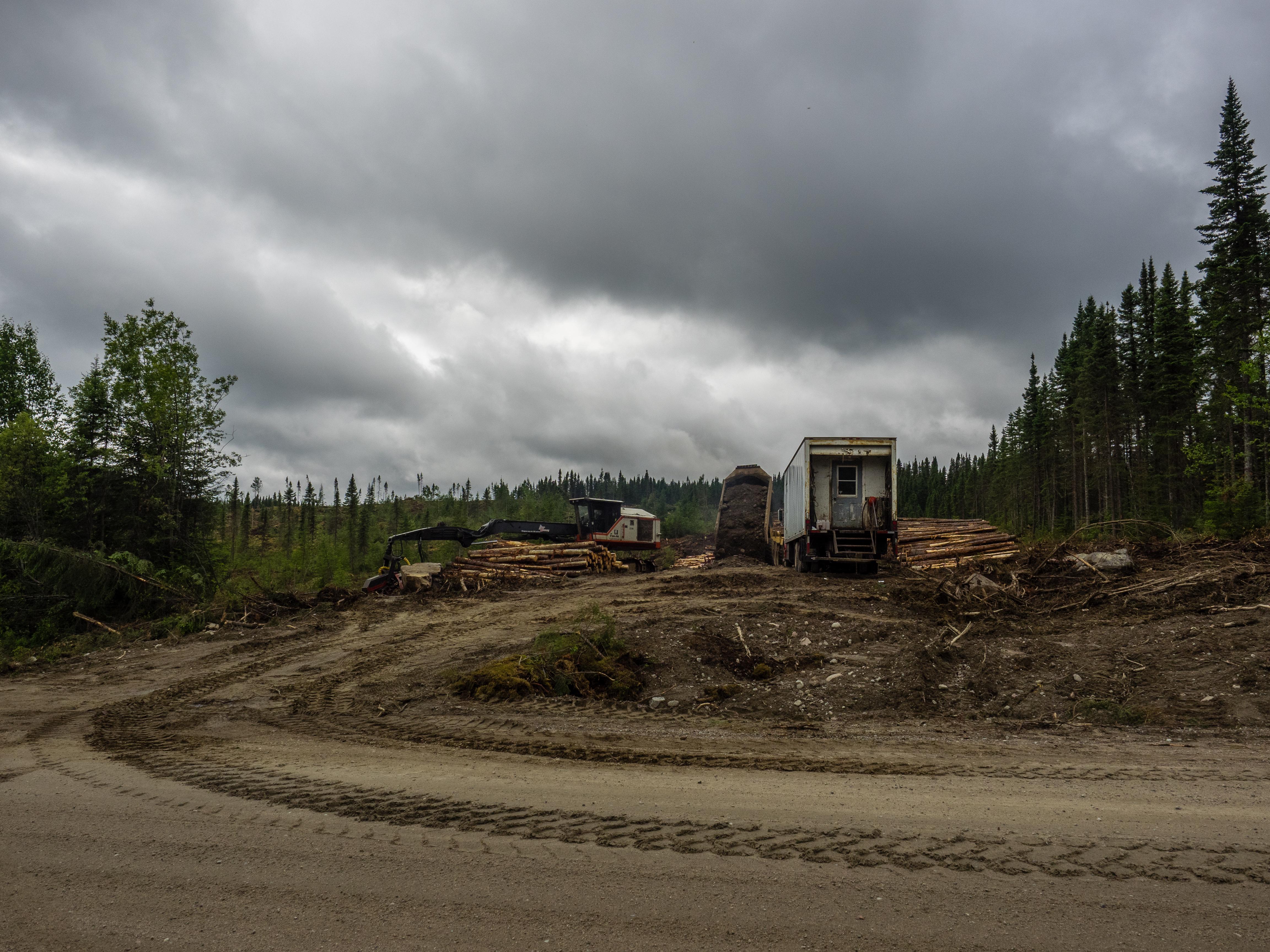 Logging operations in northern Quebec r/forestry