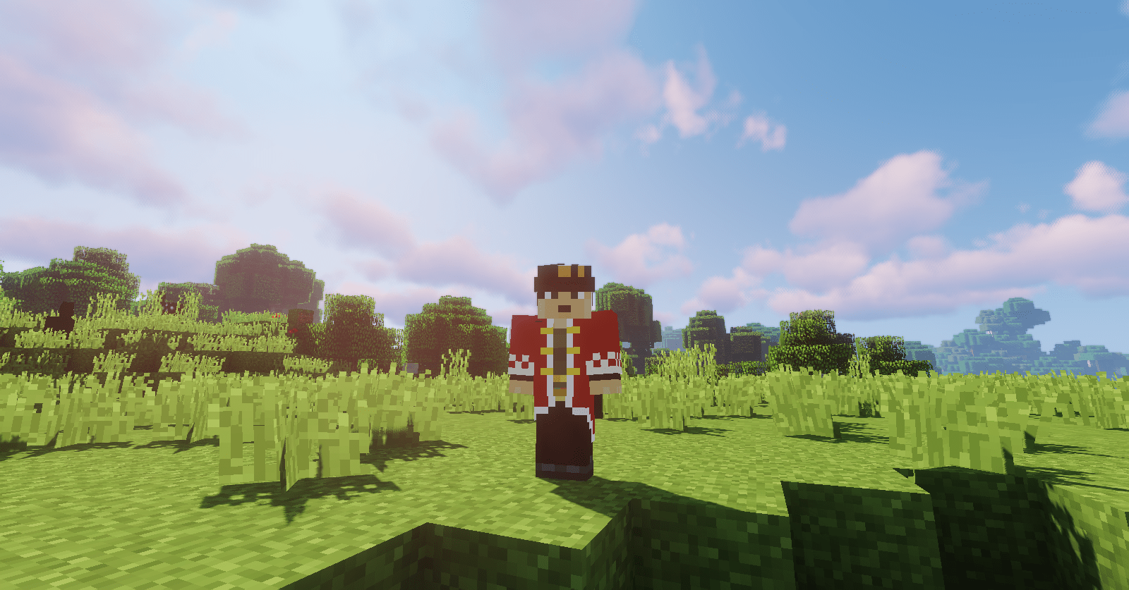 Minecraft Jotaro skin with Captainsparklez's coat r/ShitPostCrusaders