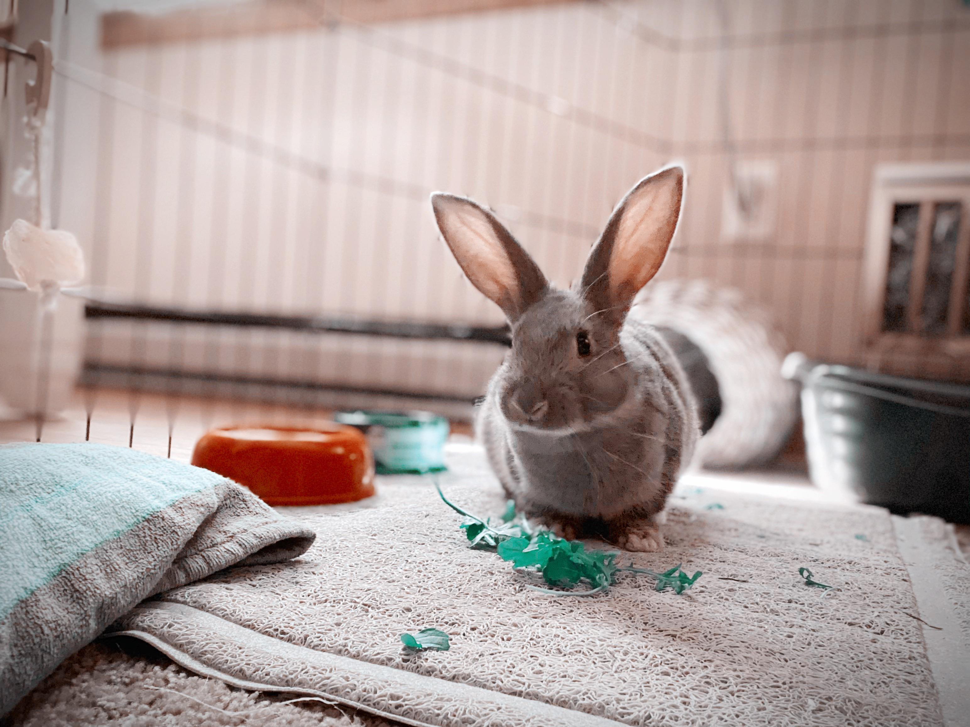 Anyone else get terribly annoyed when people scoff or laugh at what you