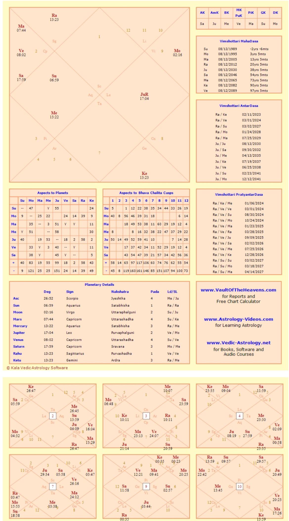 How to tell if my Rahu is well placed or malefic? Trying to understand
