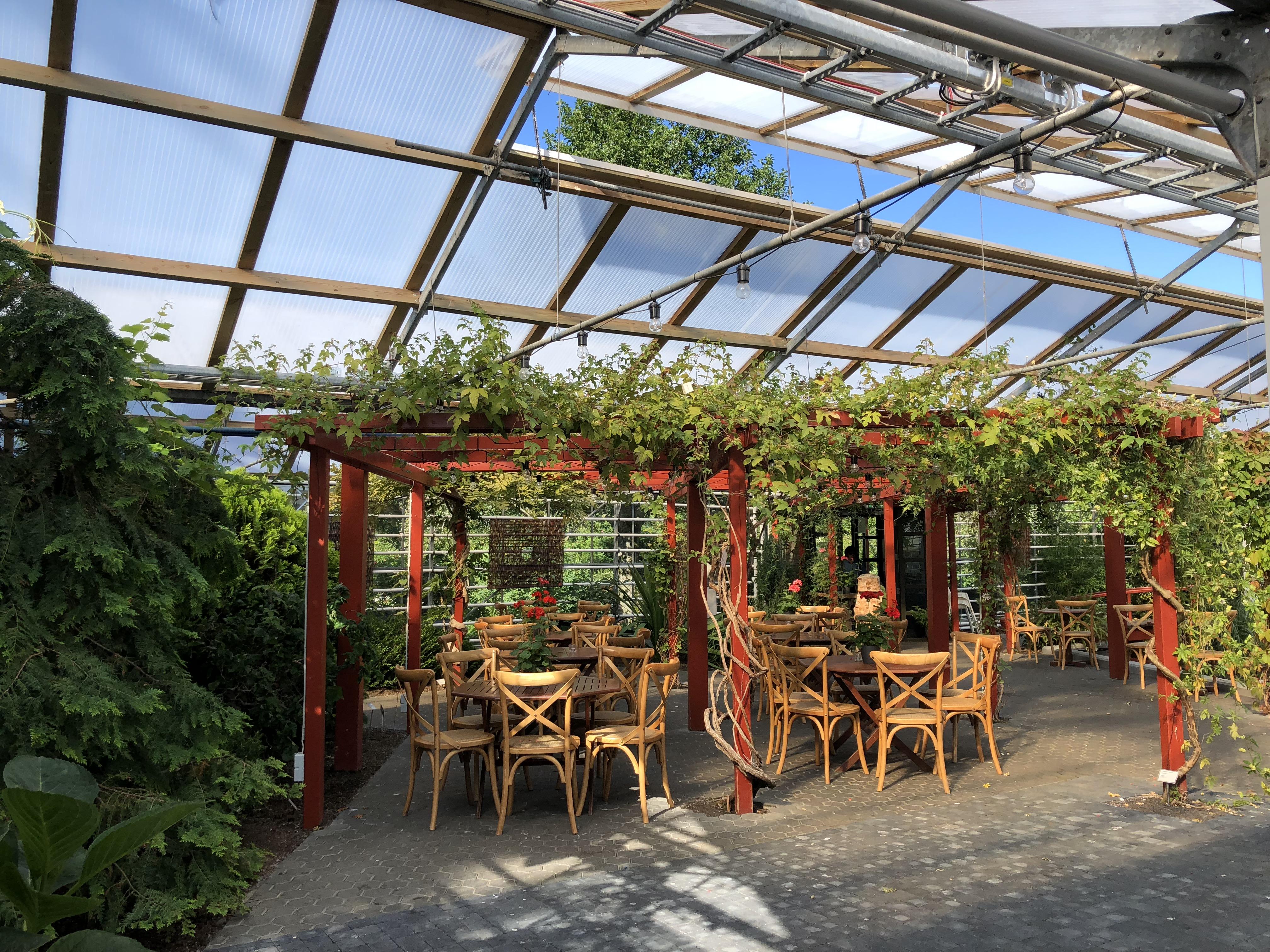 Greenhouse cafe in Iceland r/CozyPlaces