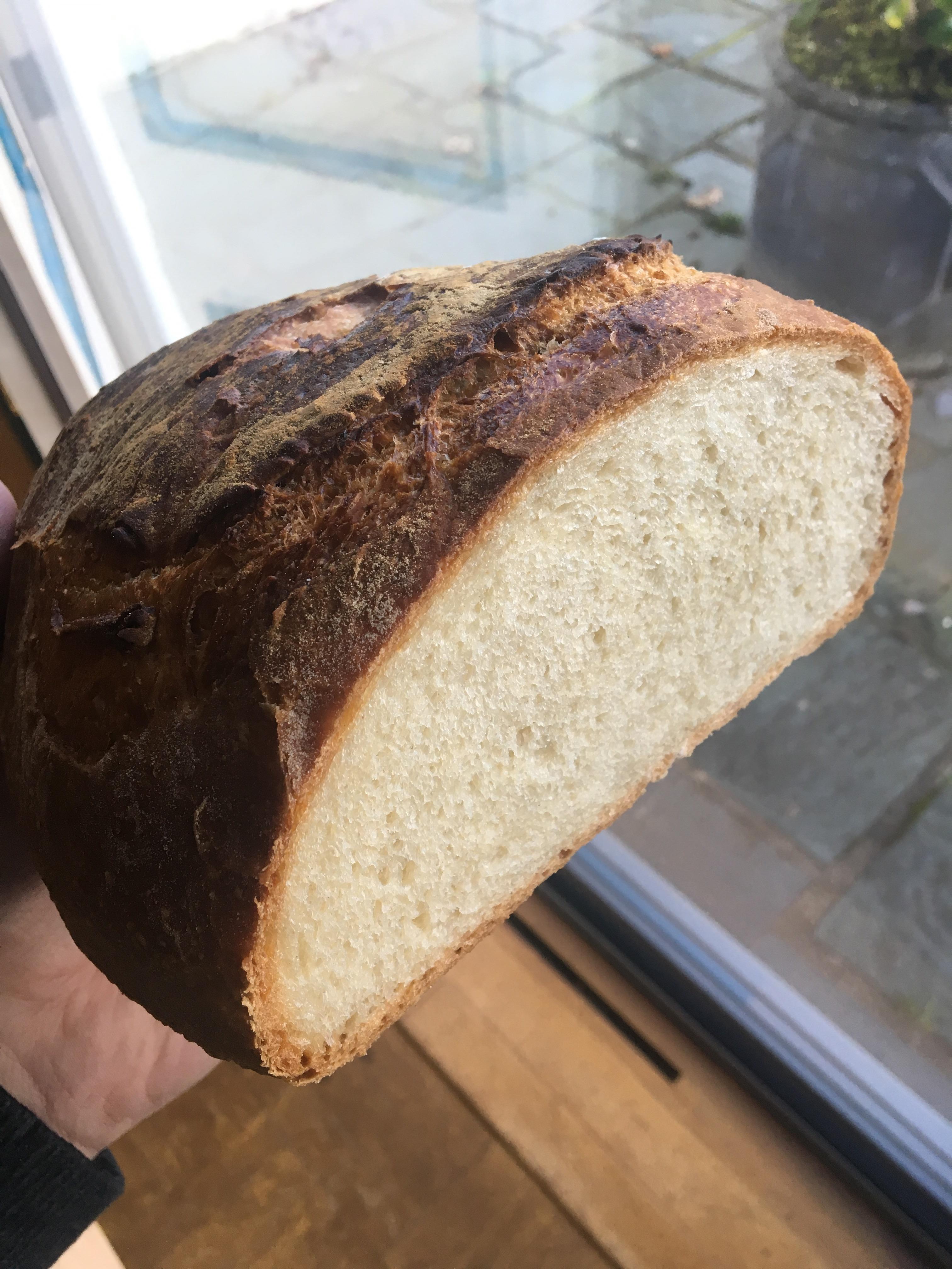 2nd try with the Dutch Oven (70 hydration, 24hr cold prove), slightly